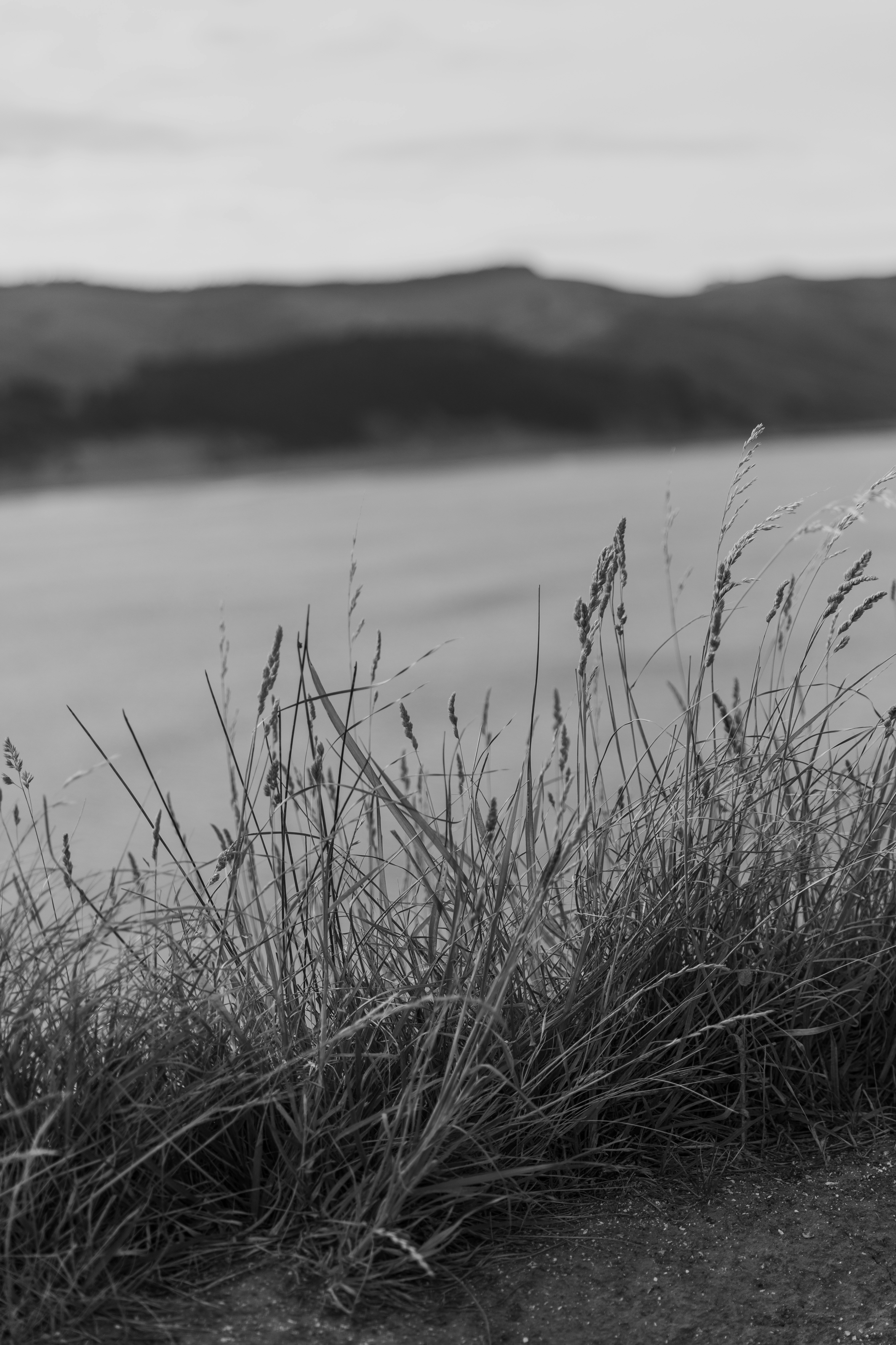 Photo by createinme_nz