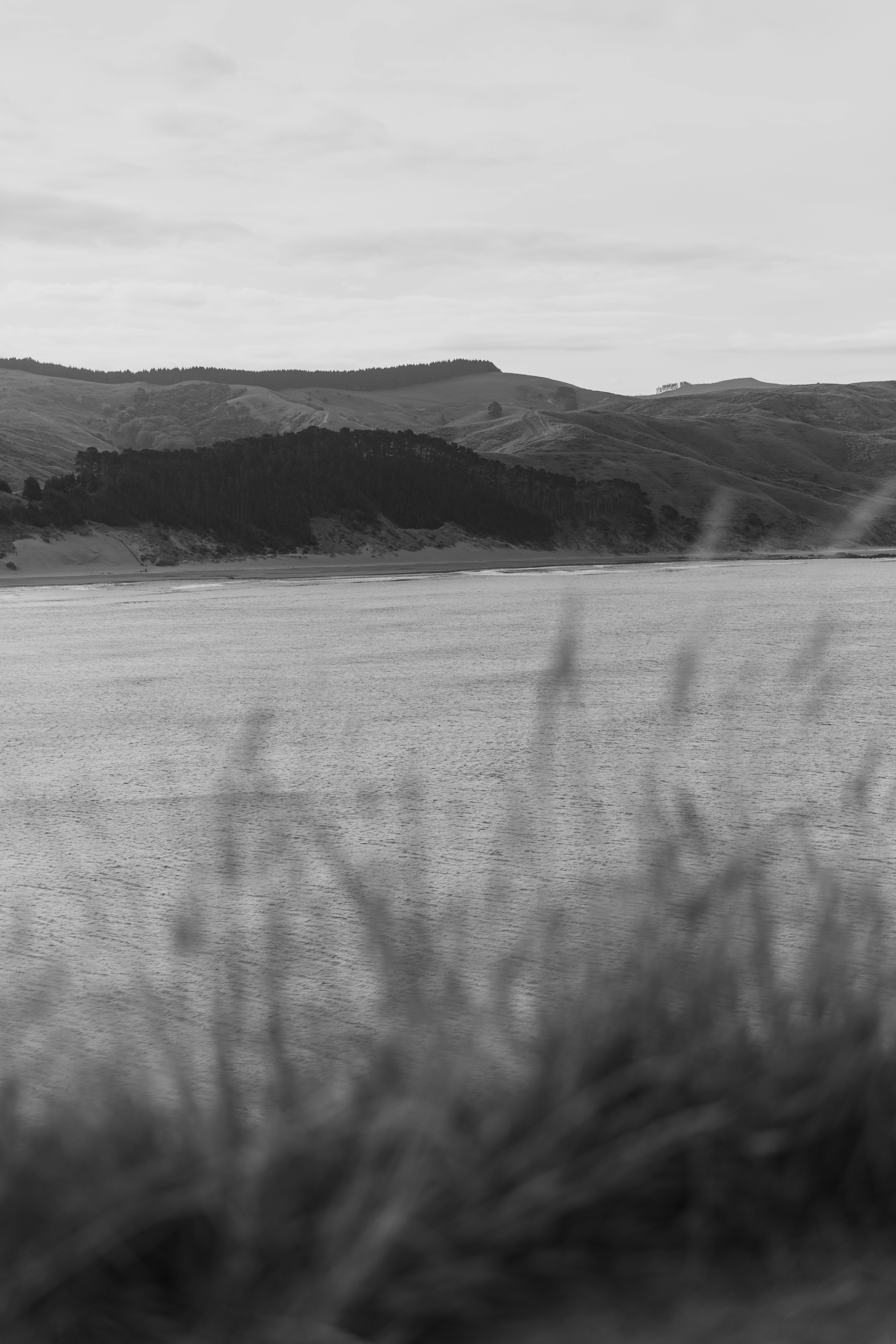 Photo by createinme_nz