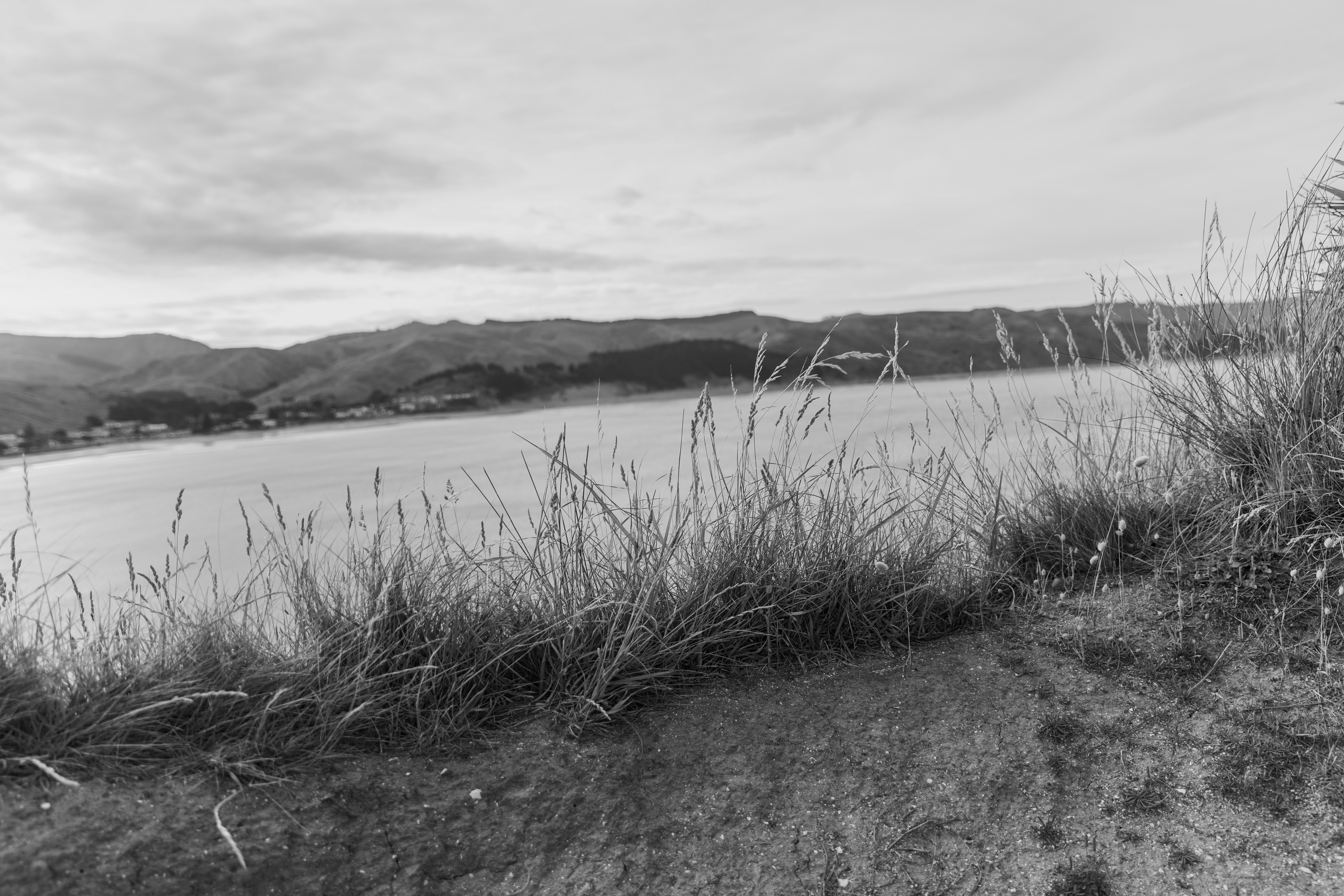 Photo by createinme_nz