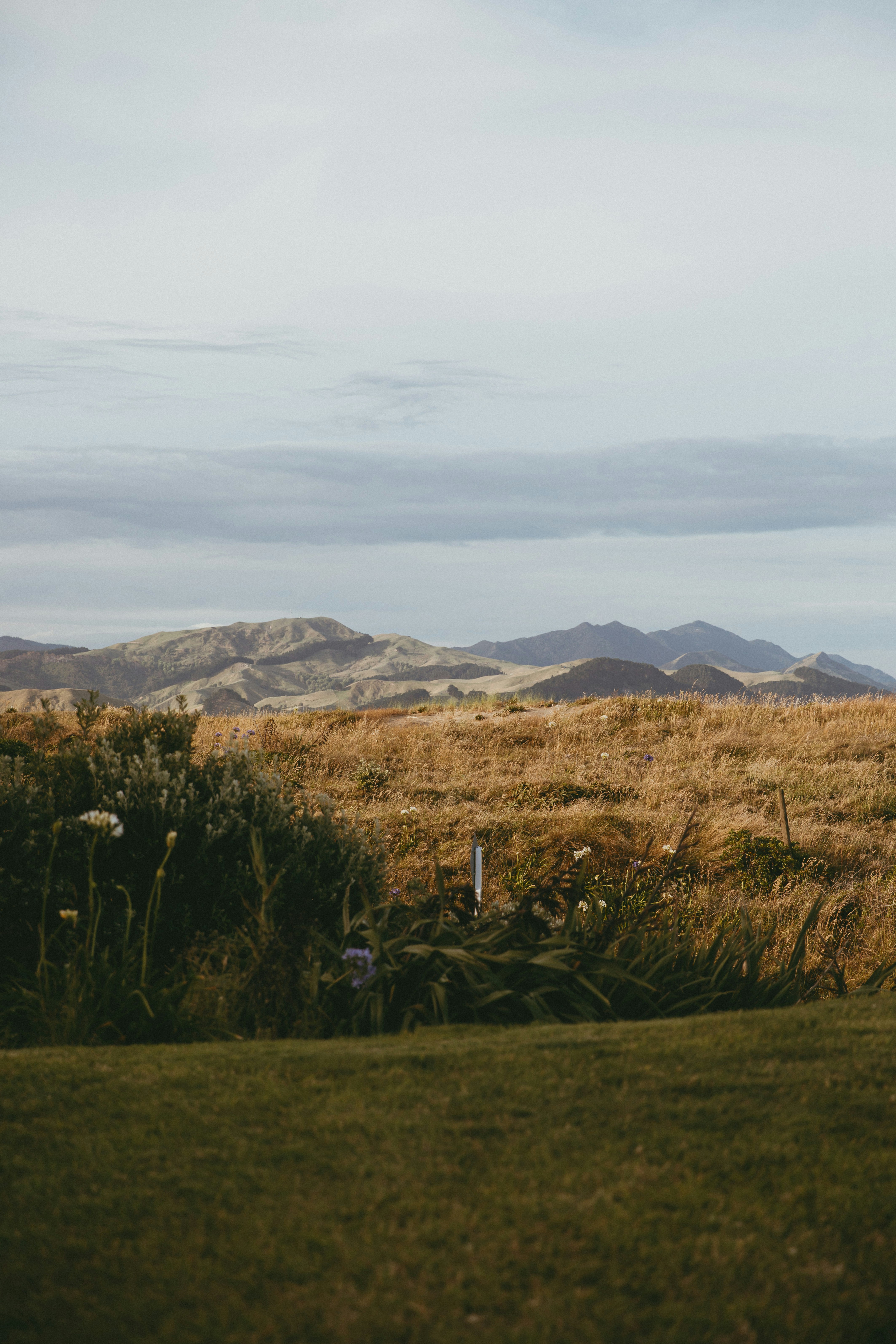 Photo by createinme_nz