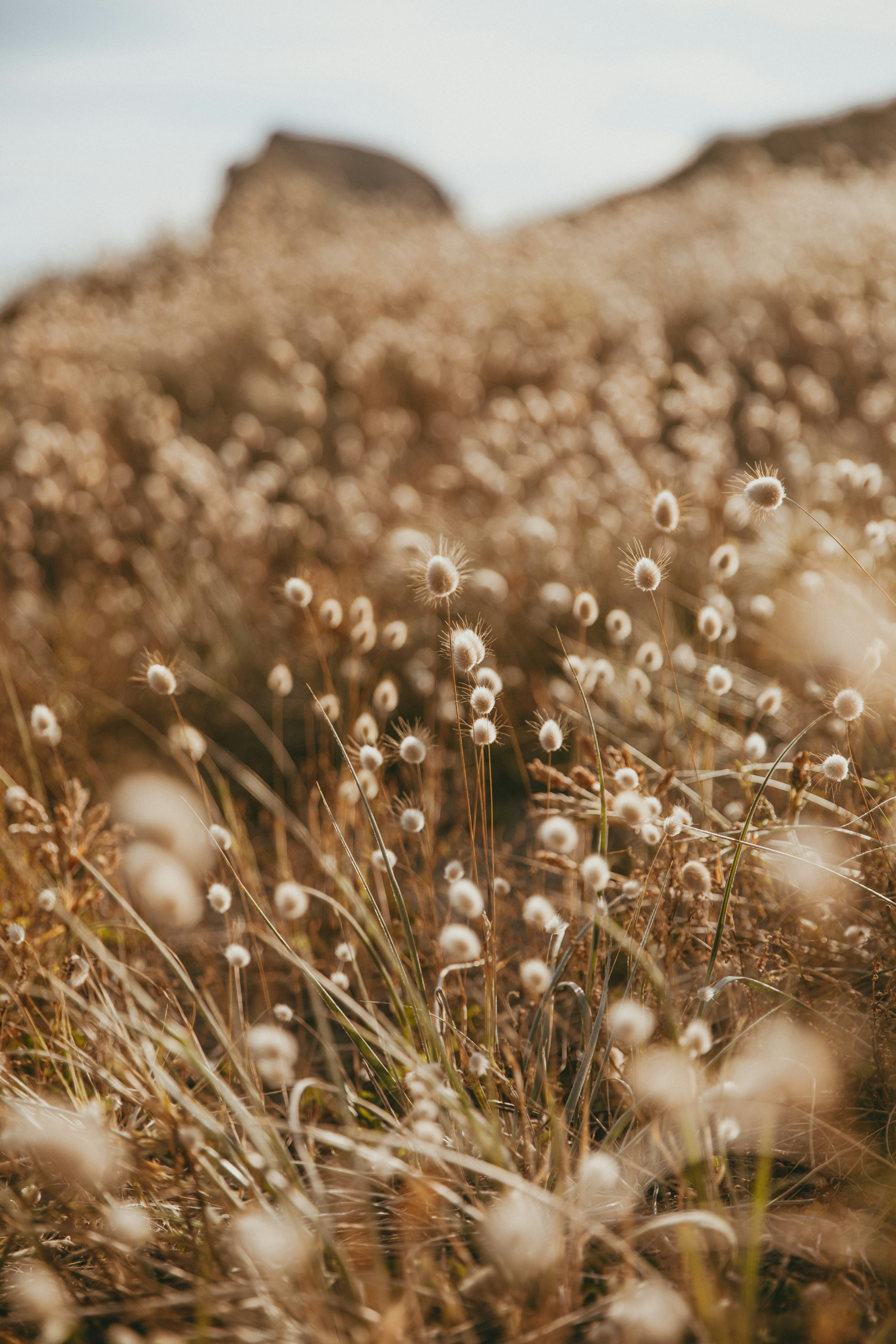 Photo by createinme_nz