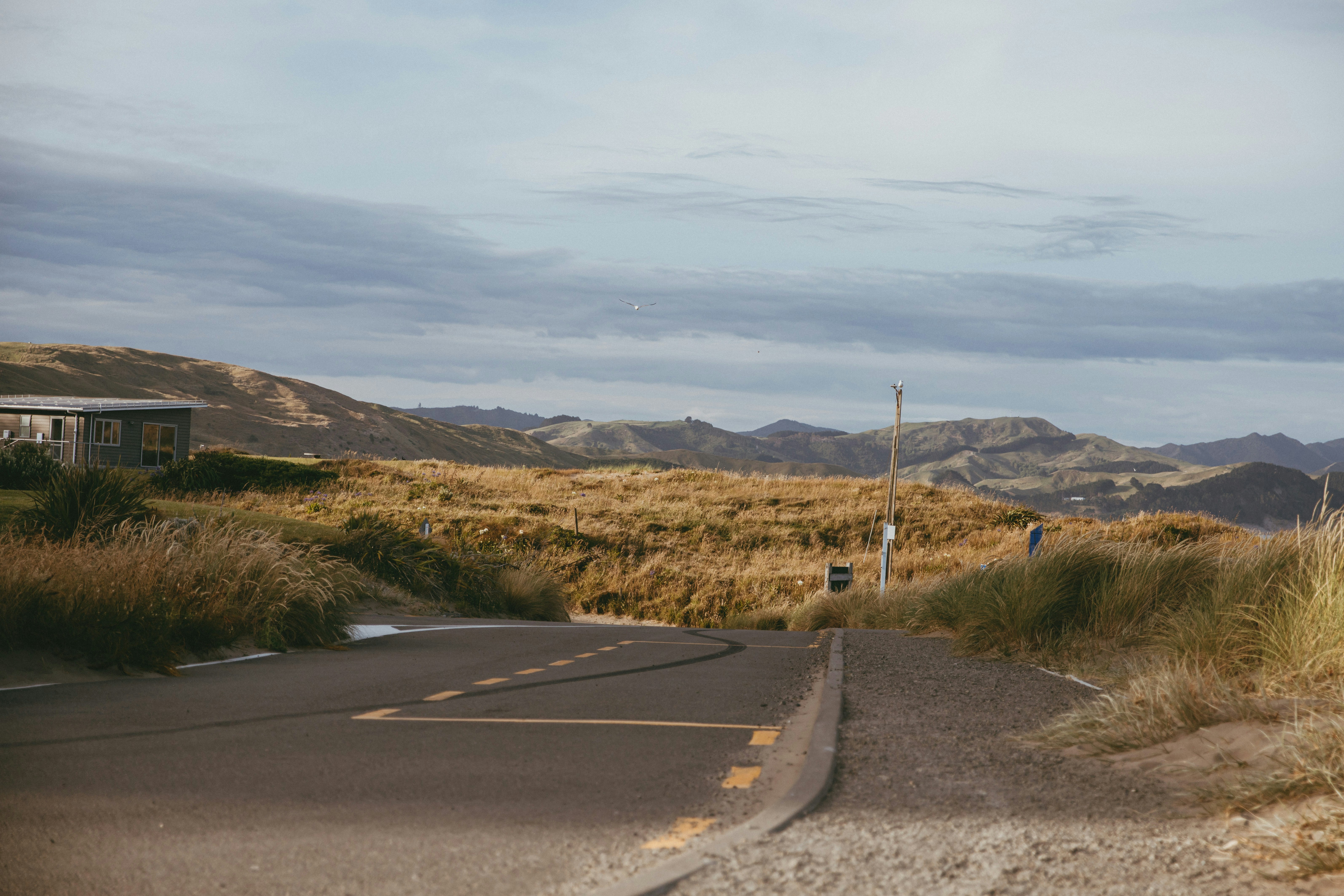 Photo by createinme_nz