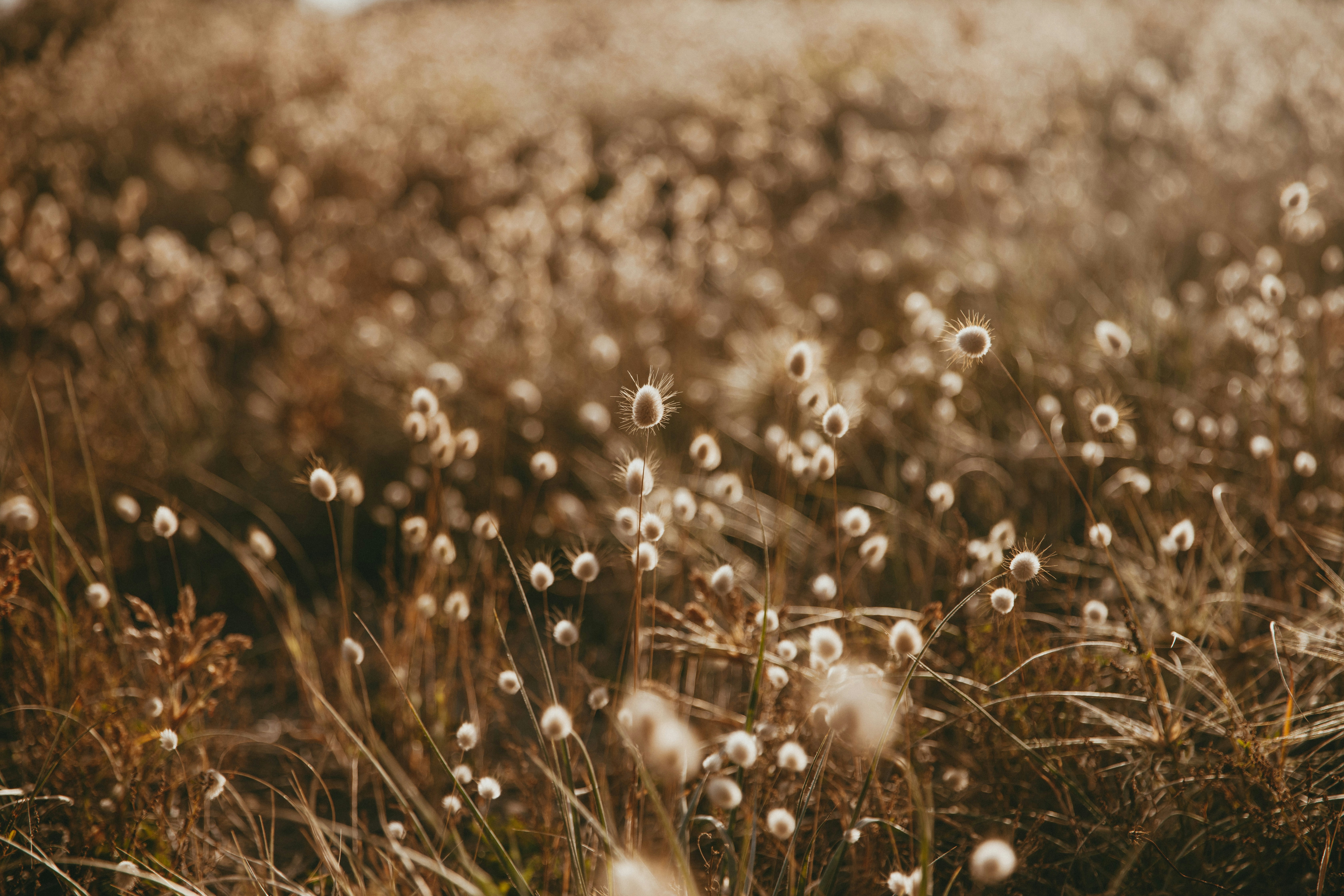 Photo by createinme_nz