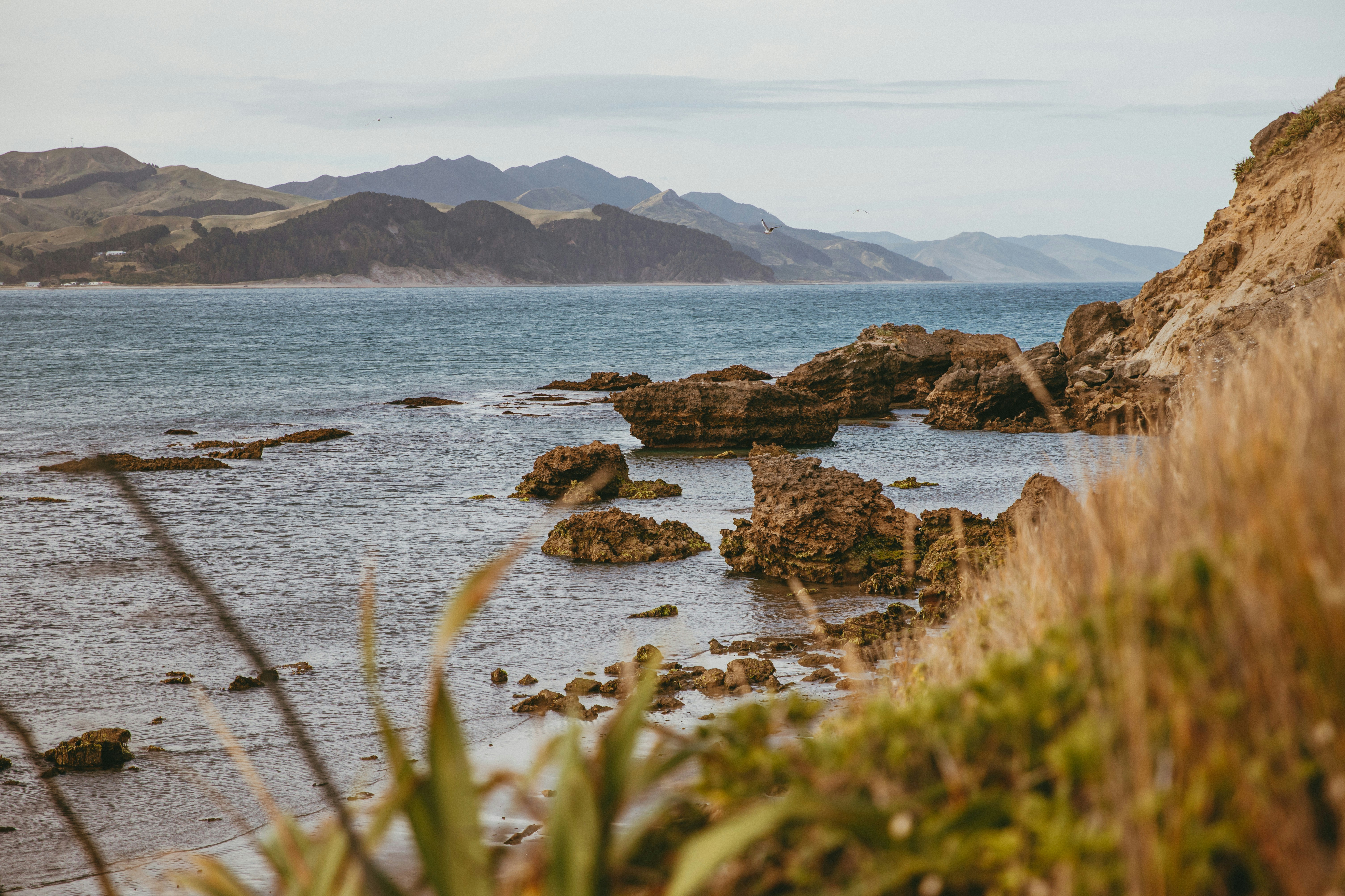 Photo by createinme_nz