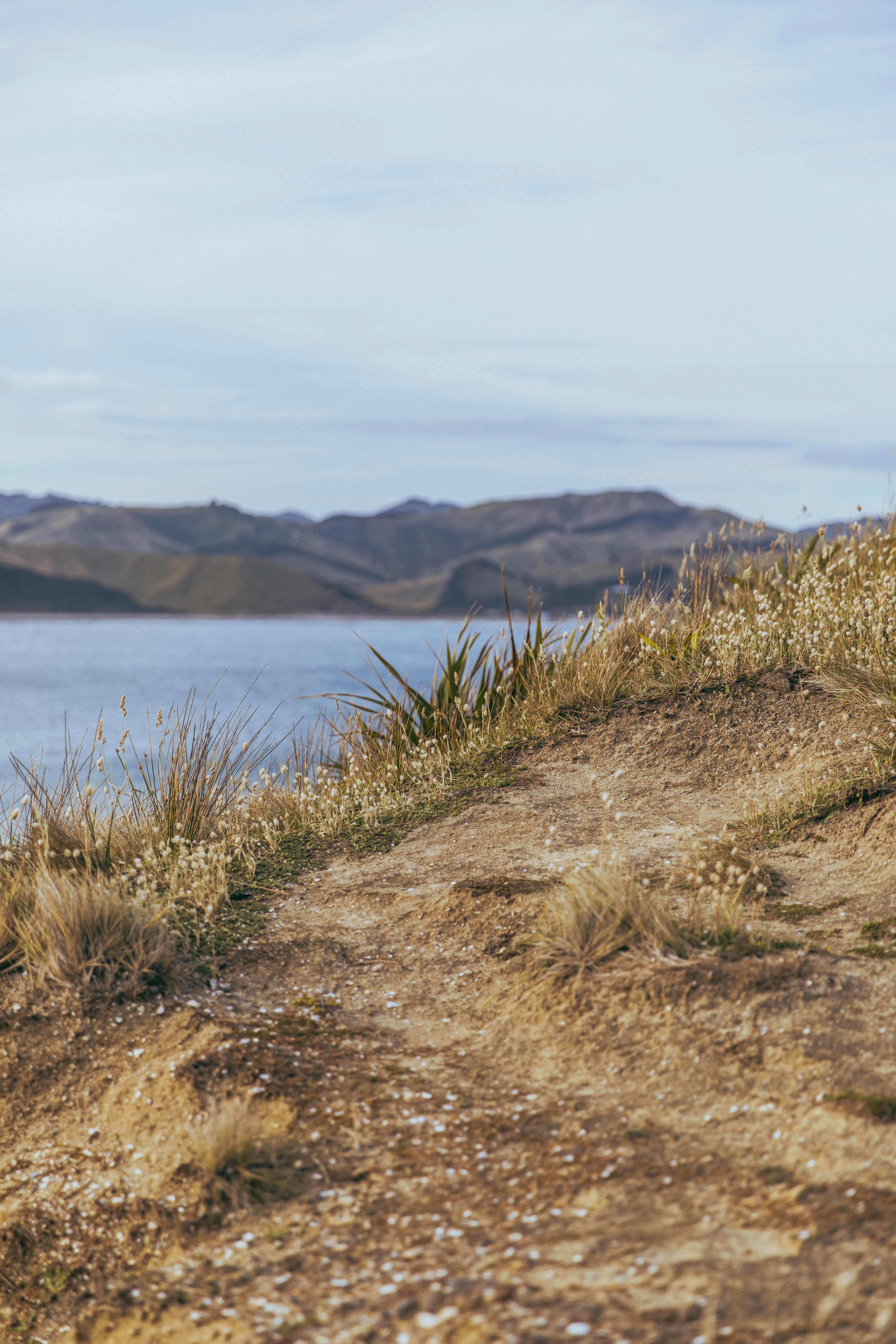 Photo by createinme_nz