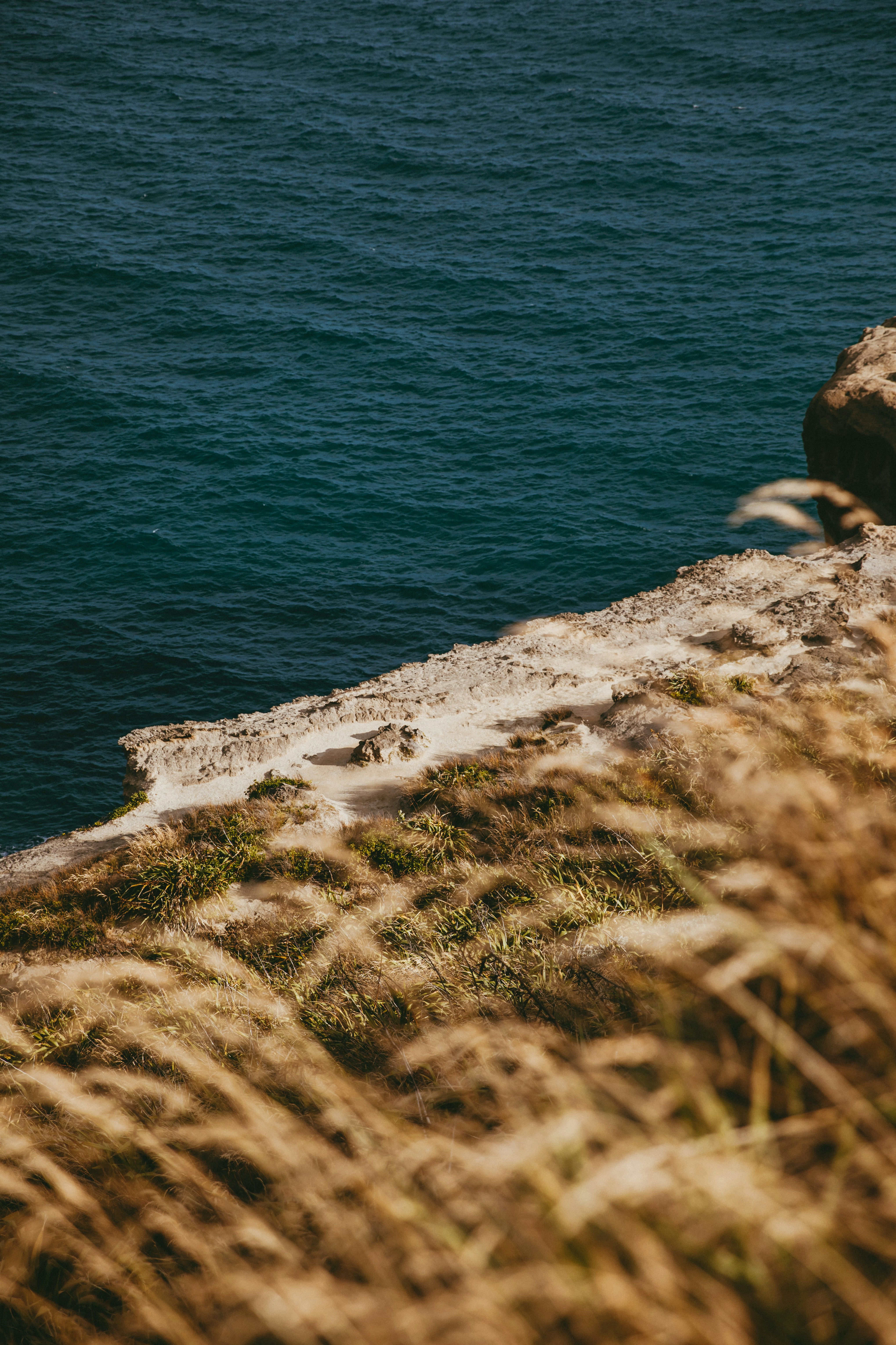 Photo by createinme_nz