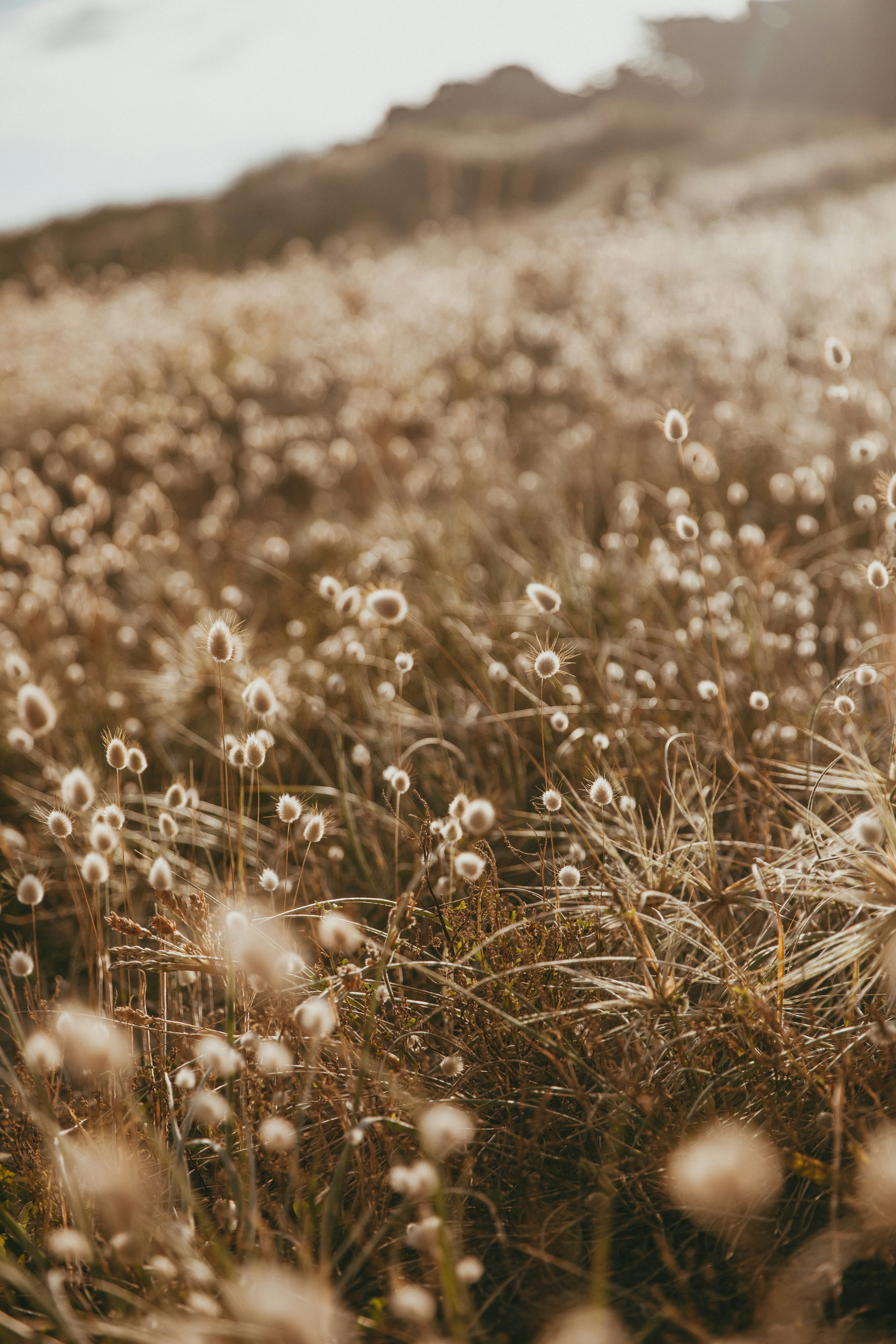 Photo by createinme_nz