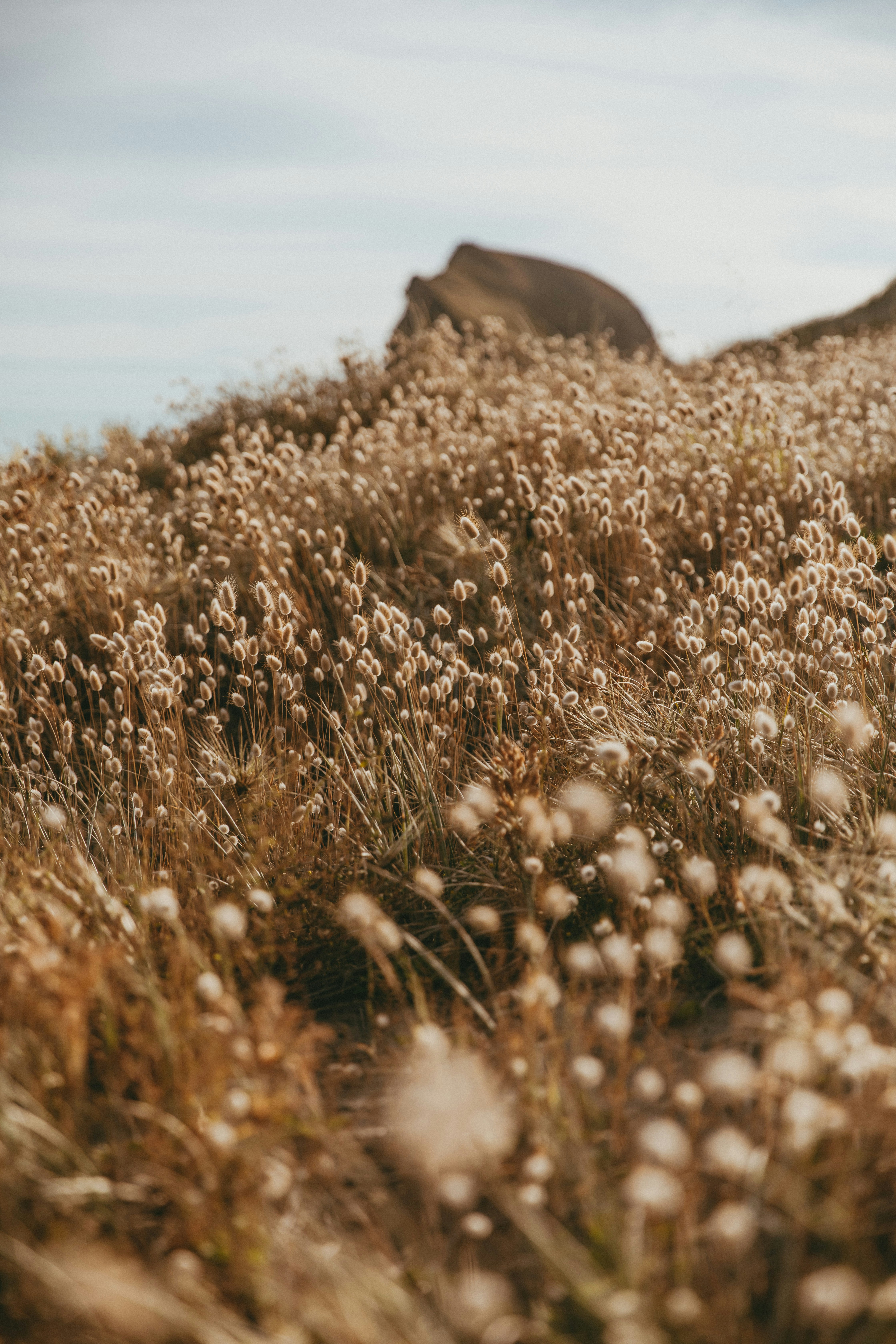 Photo by createinme_nz