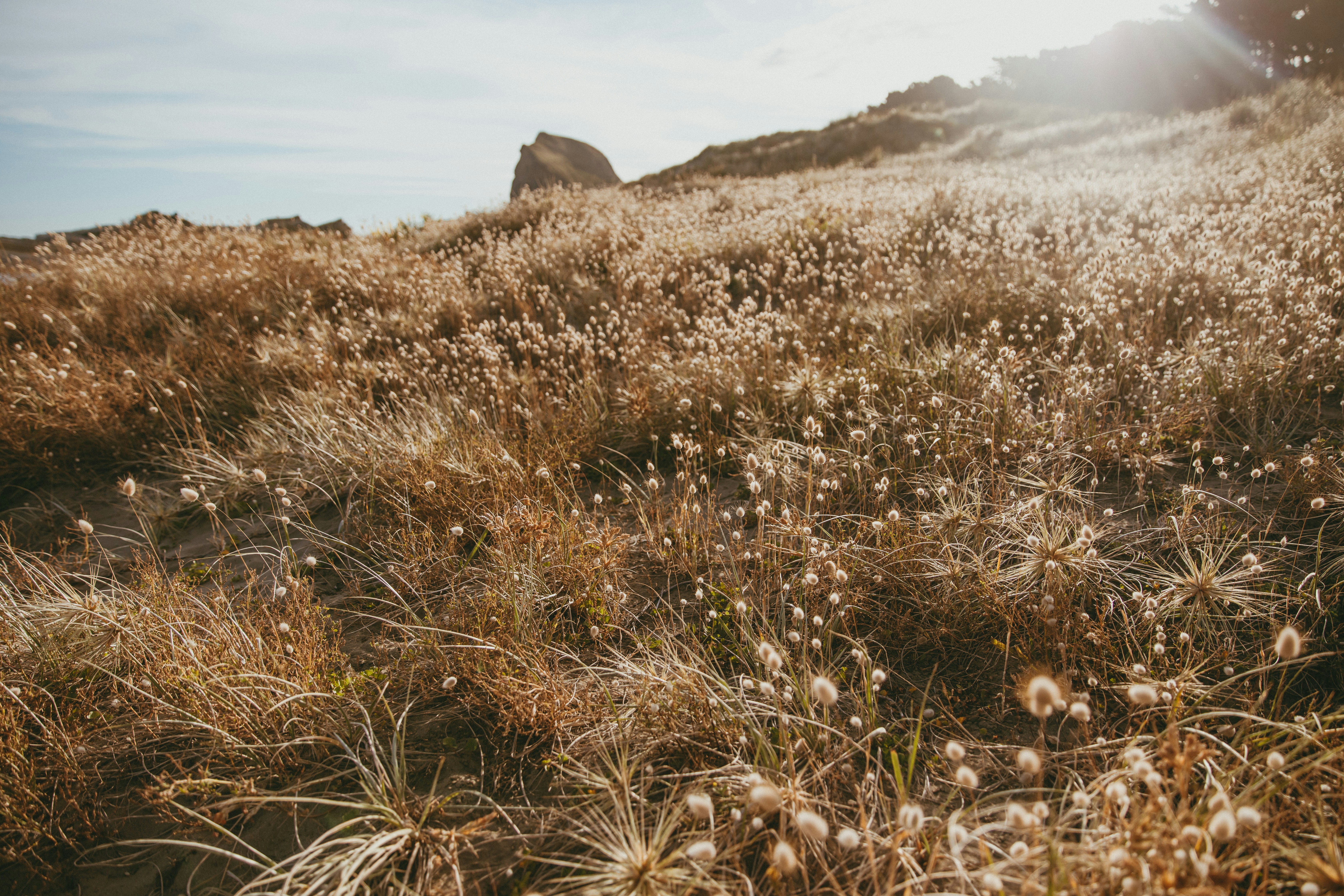 Photo by createinme_nz