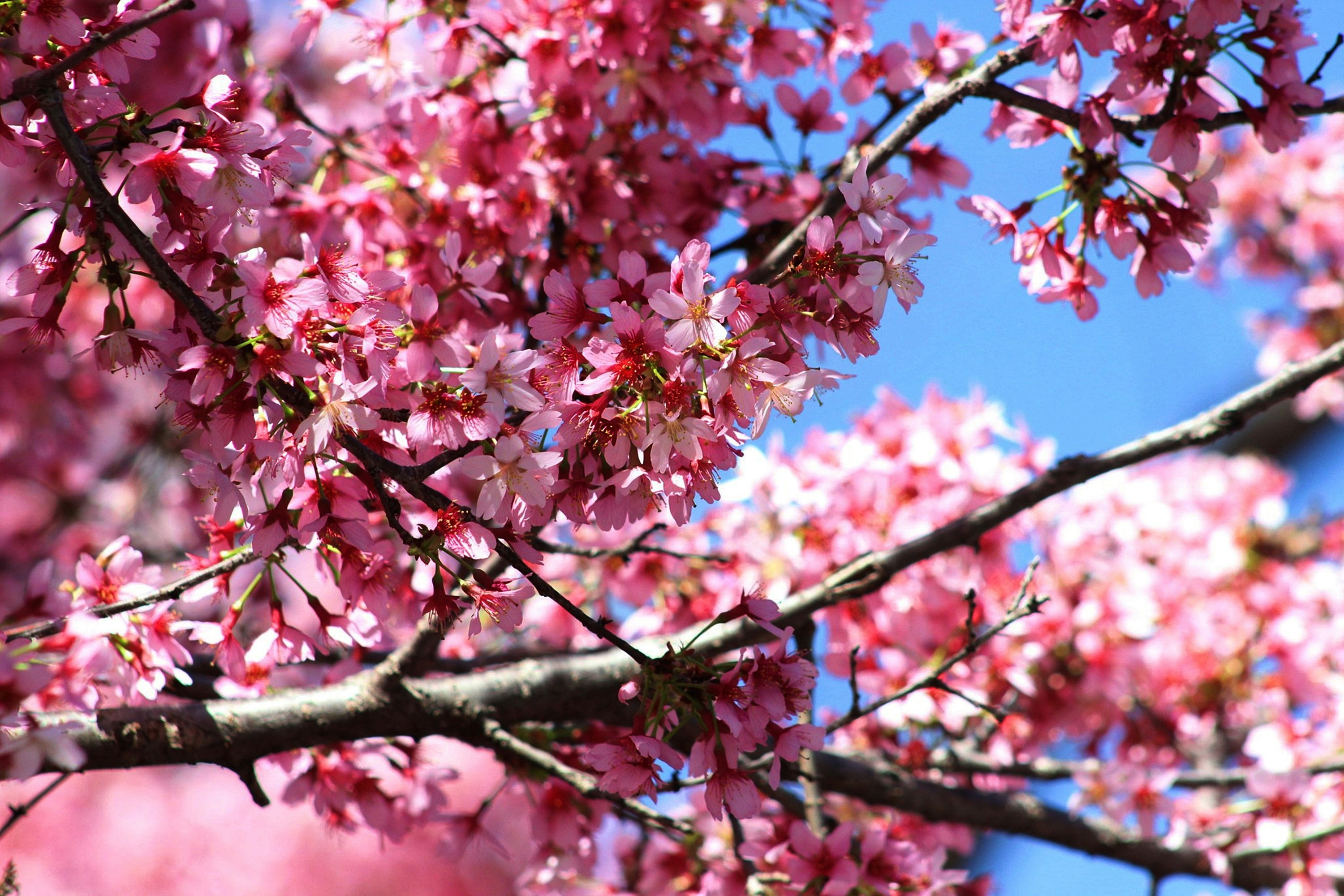 Photo by viewsofthecamera