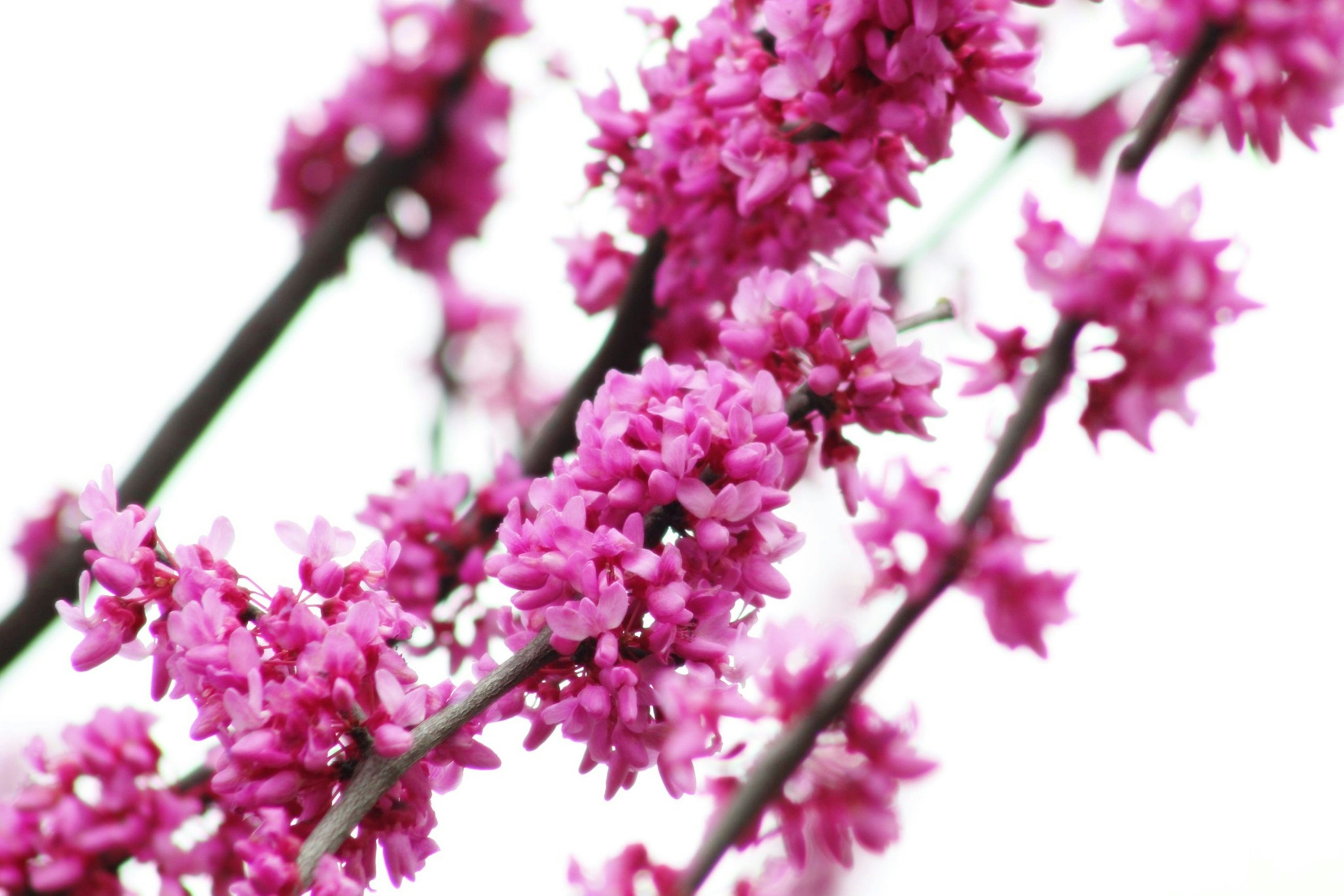 Photo by viewsofthecamera