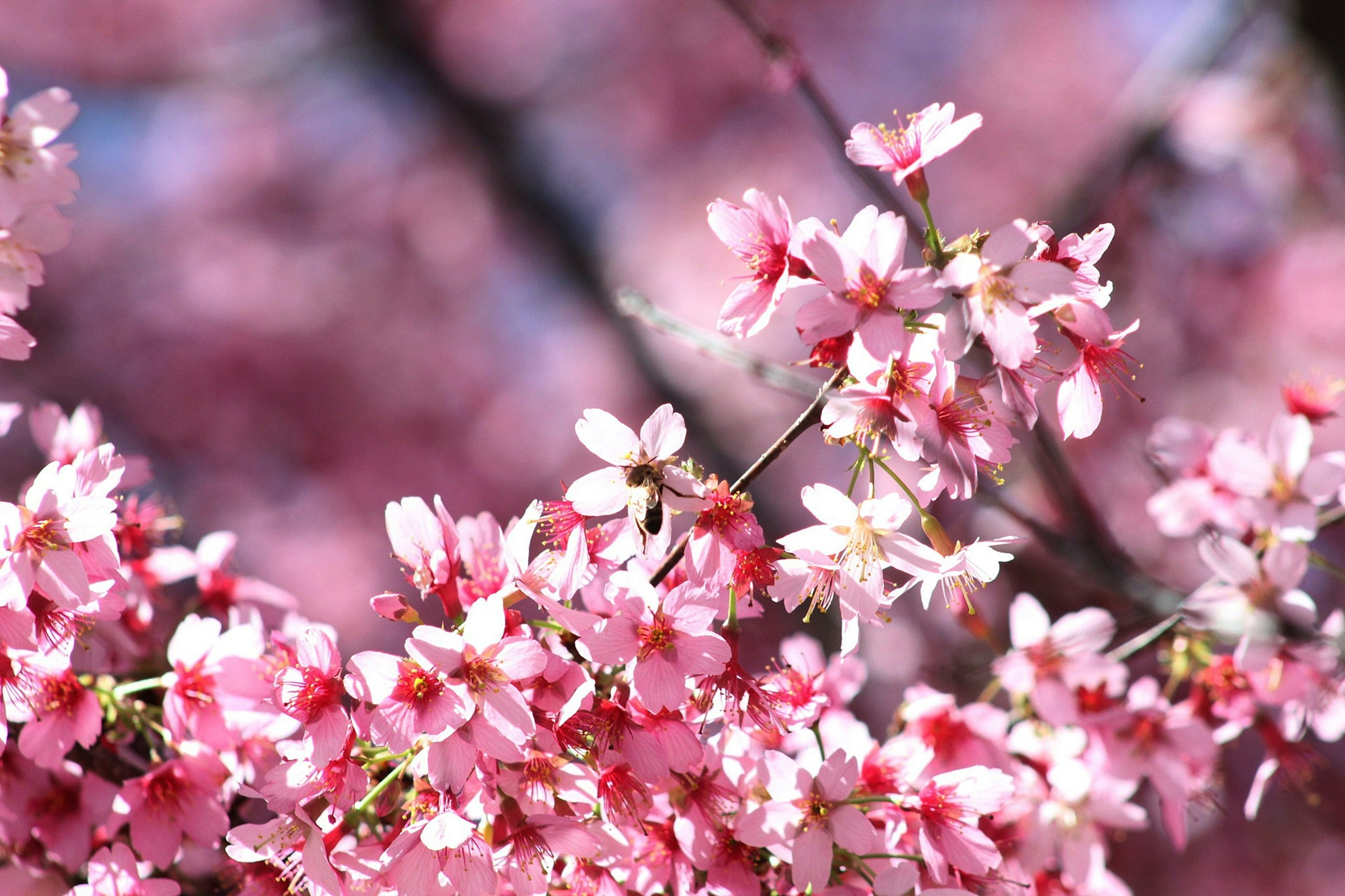 Photo by viewsofthecamera