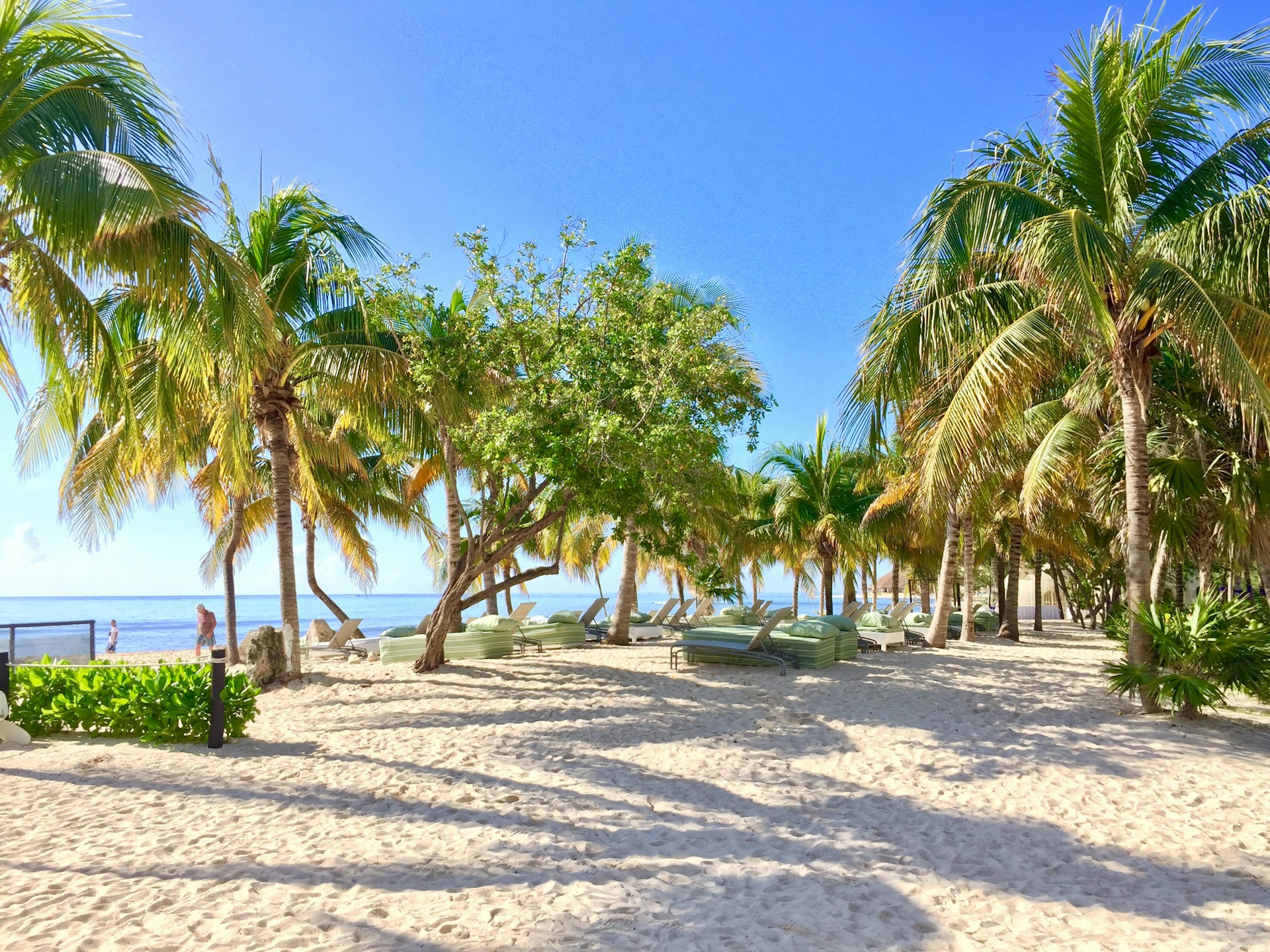 A sandy beach with palm trees and the ocean in the background