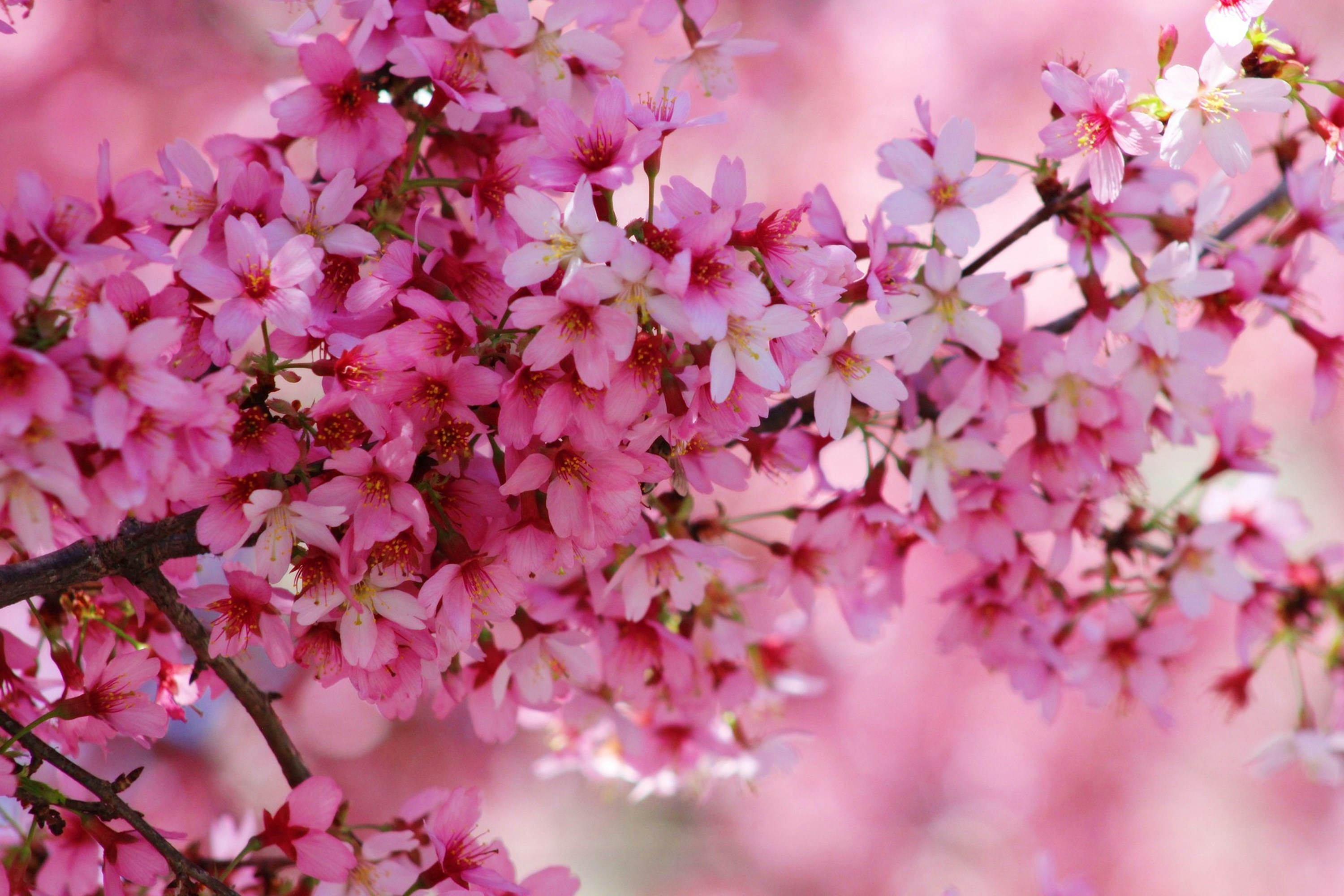 Photo by viewsofthecamera