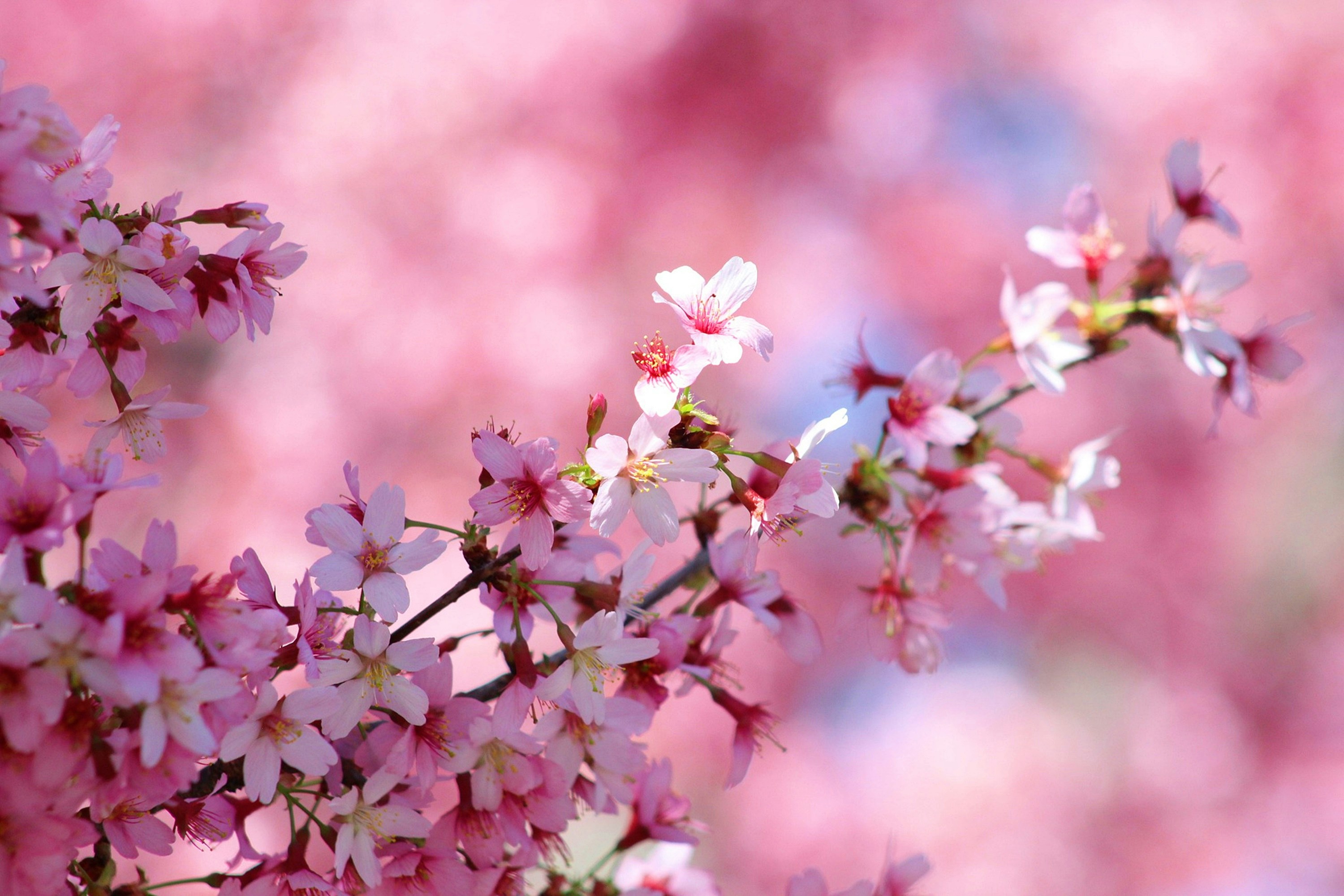 Photo by viewsofthecamera