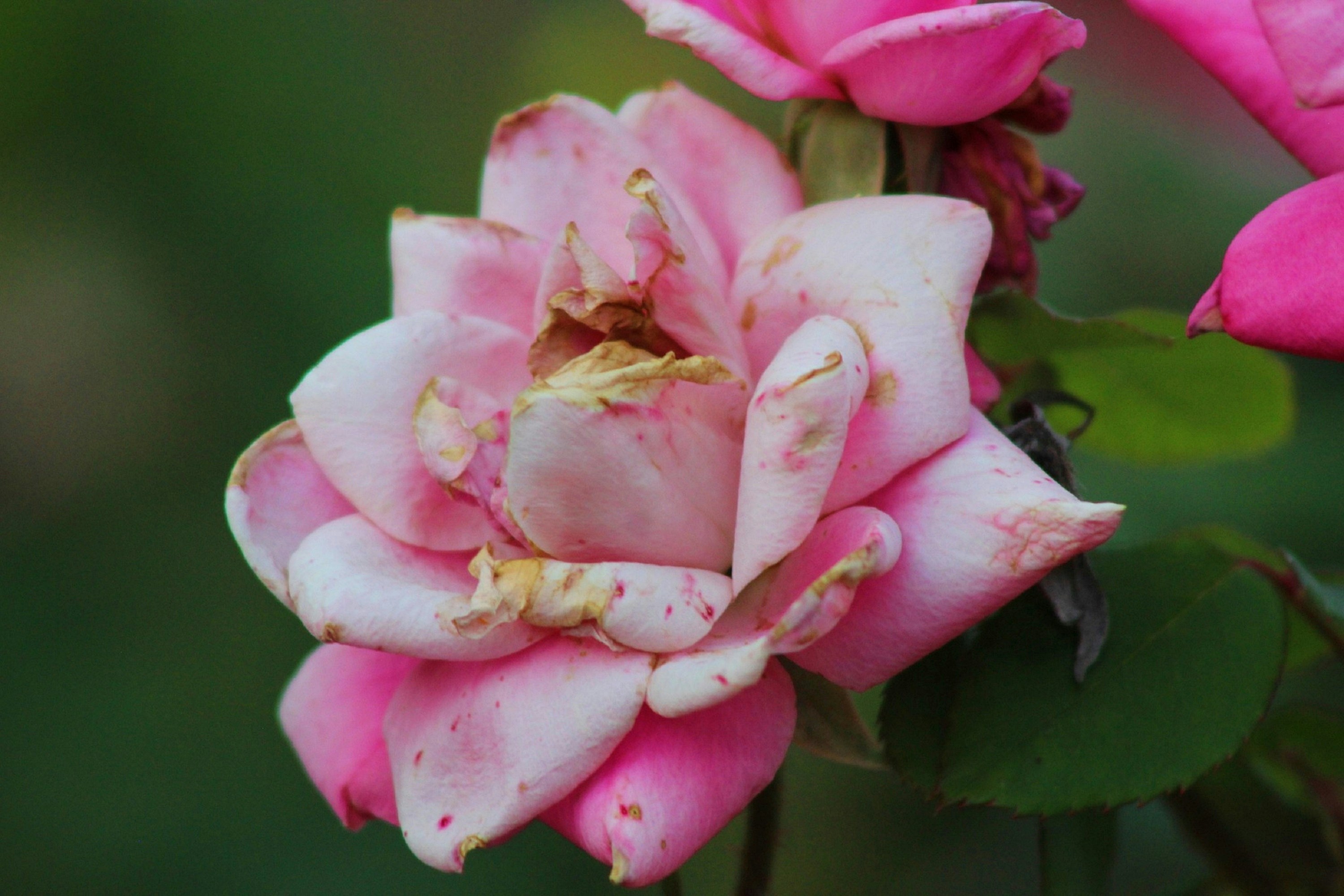 Photo by viewsofthecamera