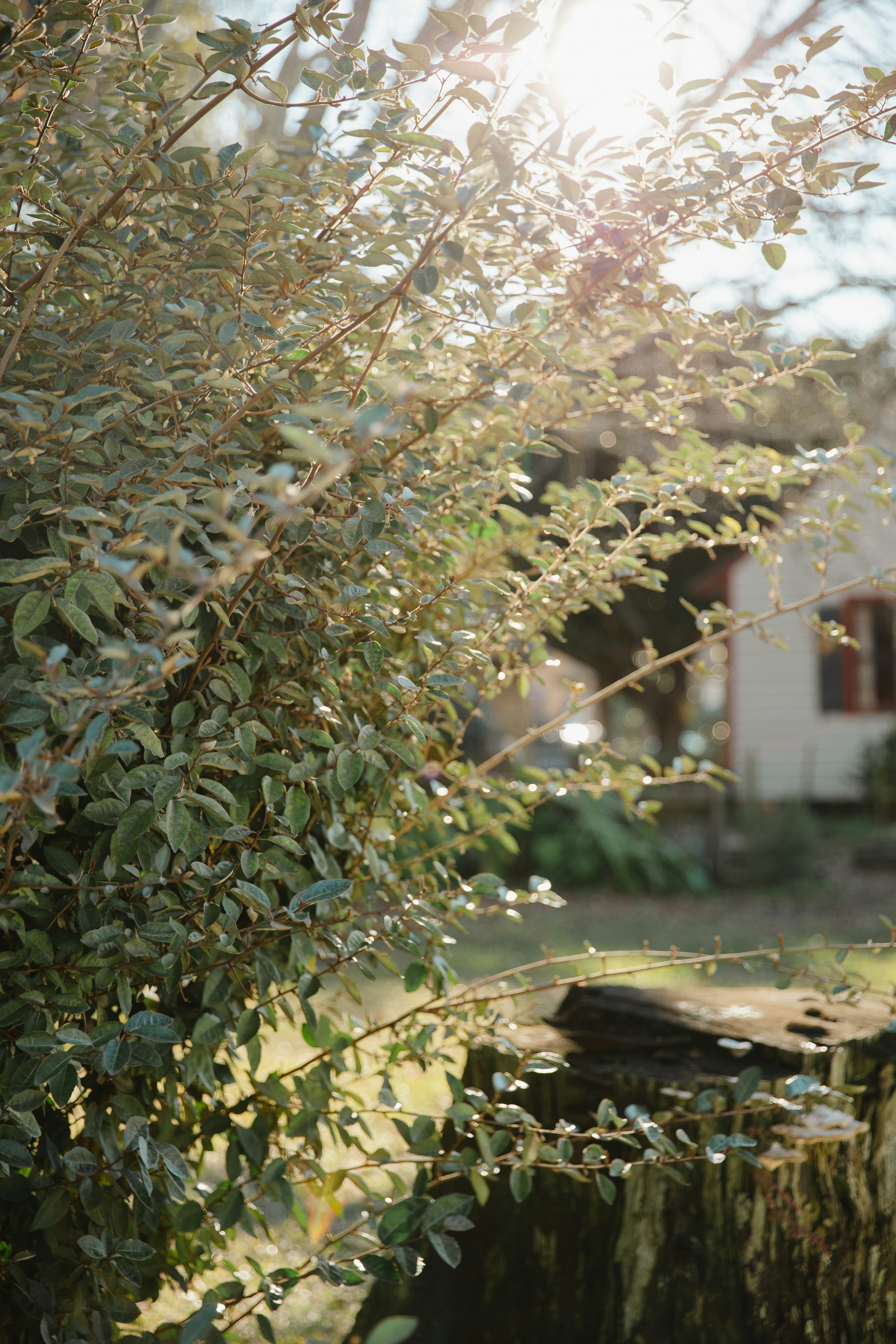 Photo by hvcoleman91