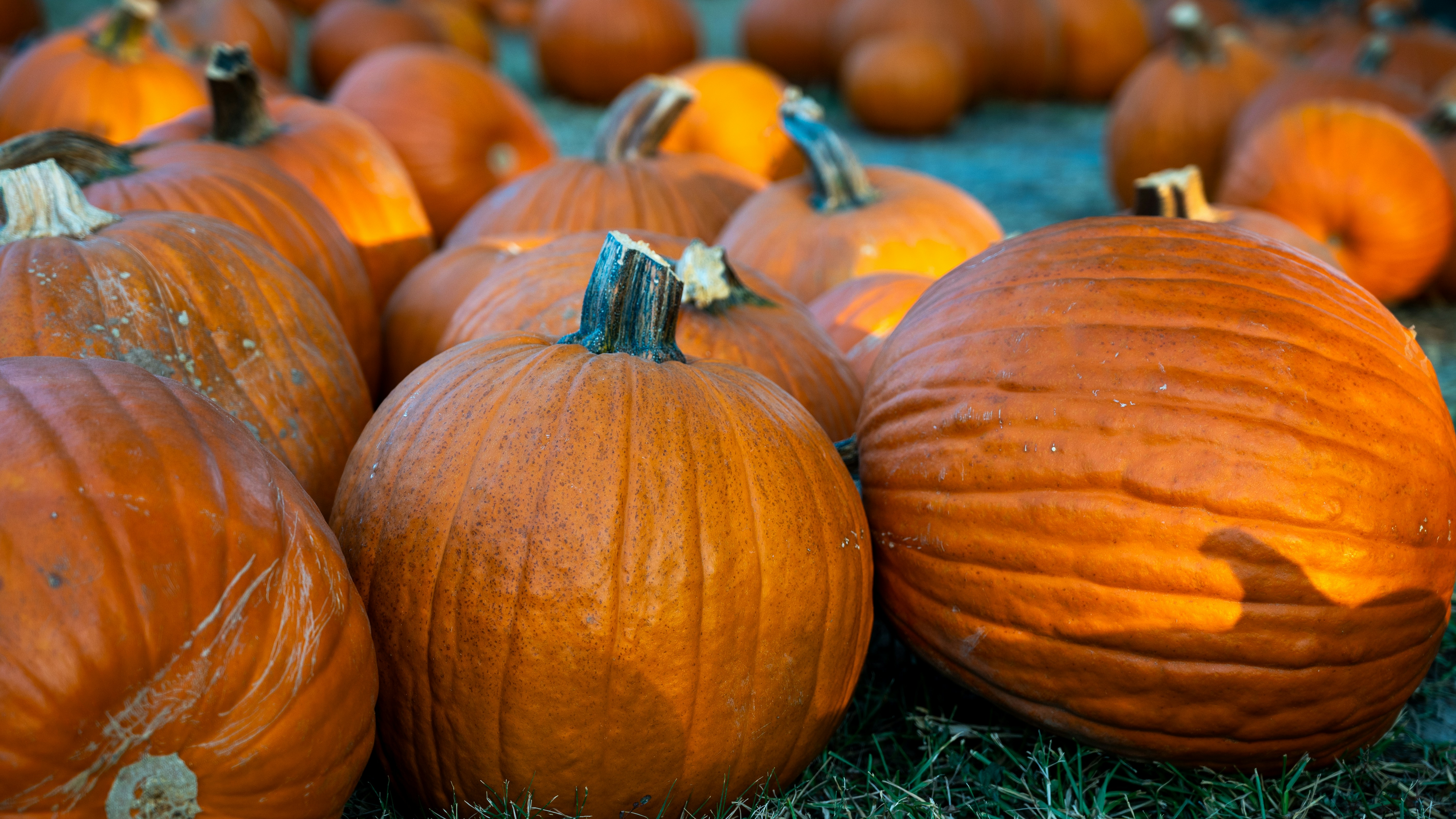 Photo by tobydagenhart