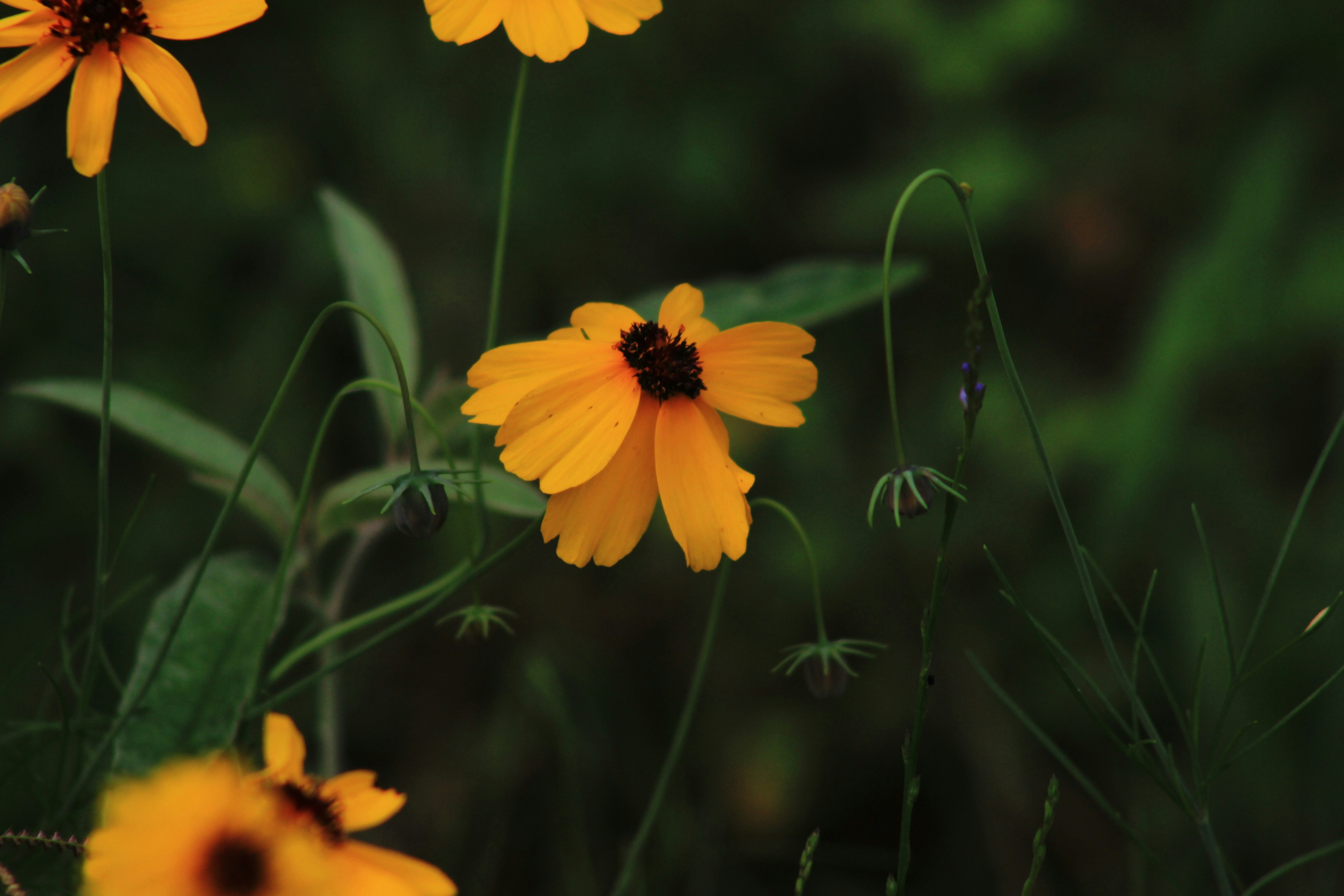 Photo by viewsofthecamera