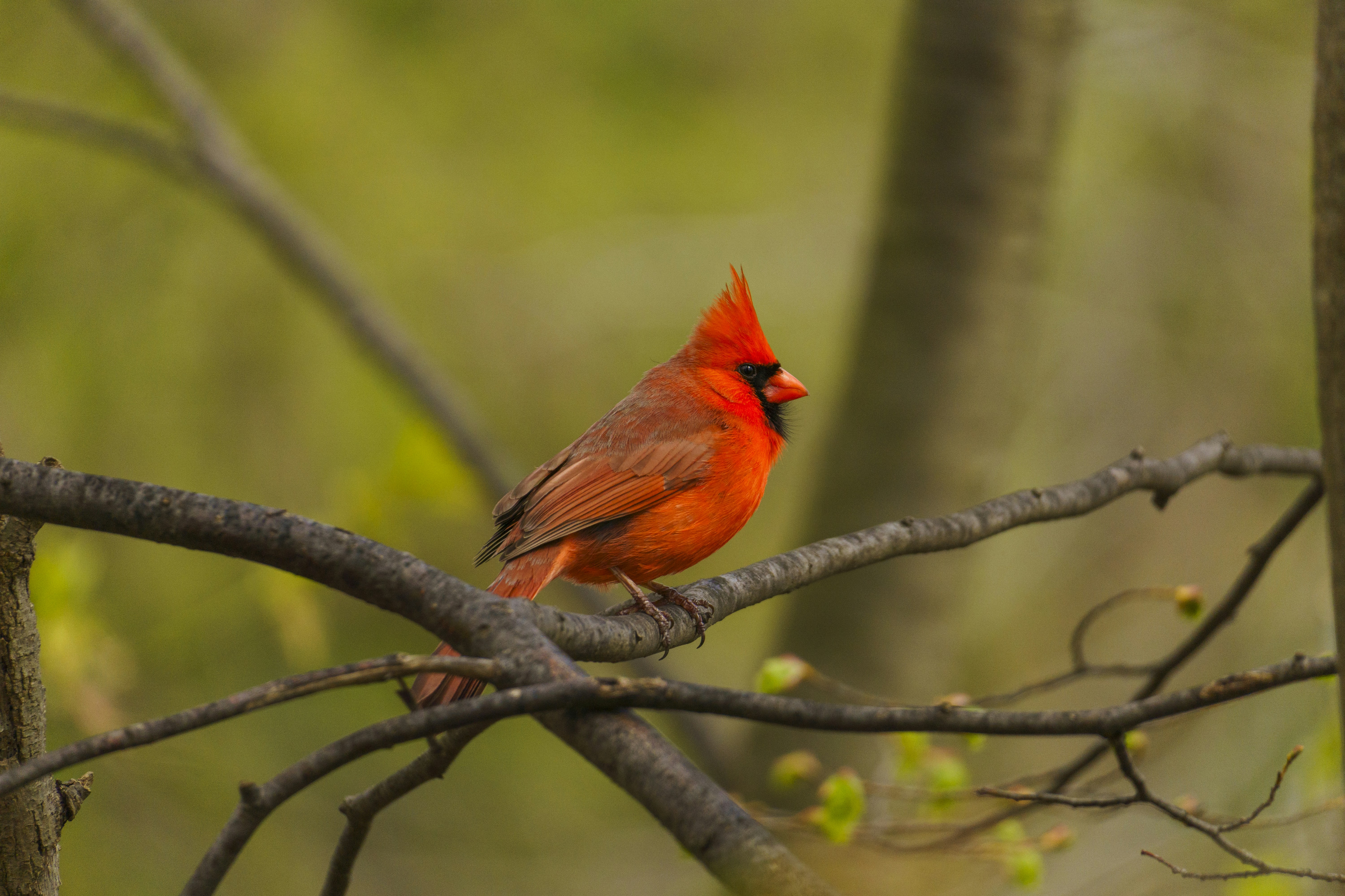 Photo by maheshkkreddy