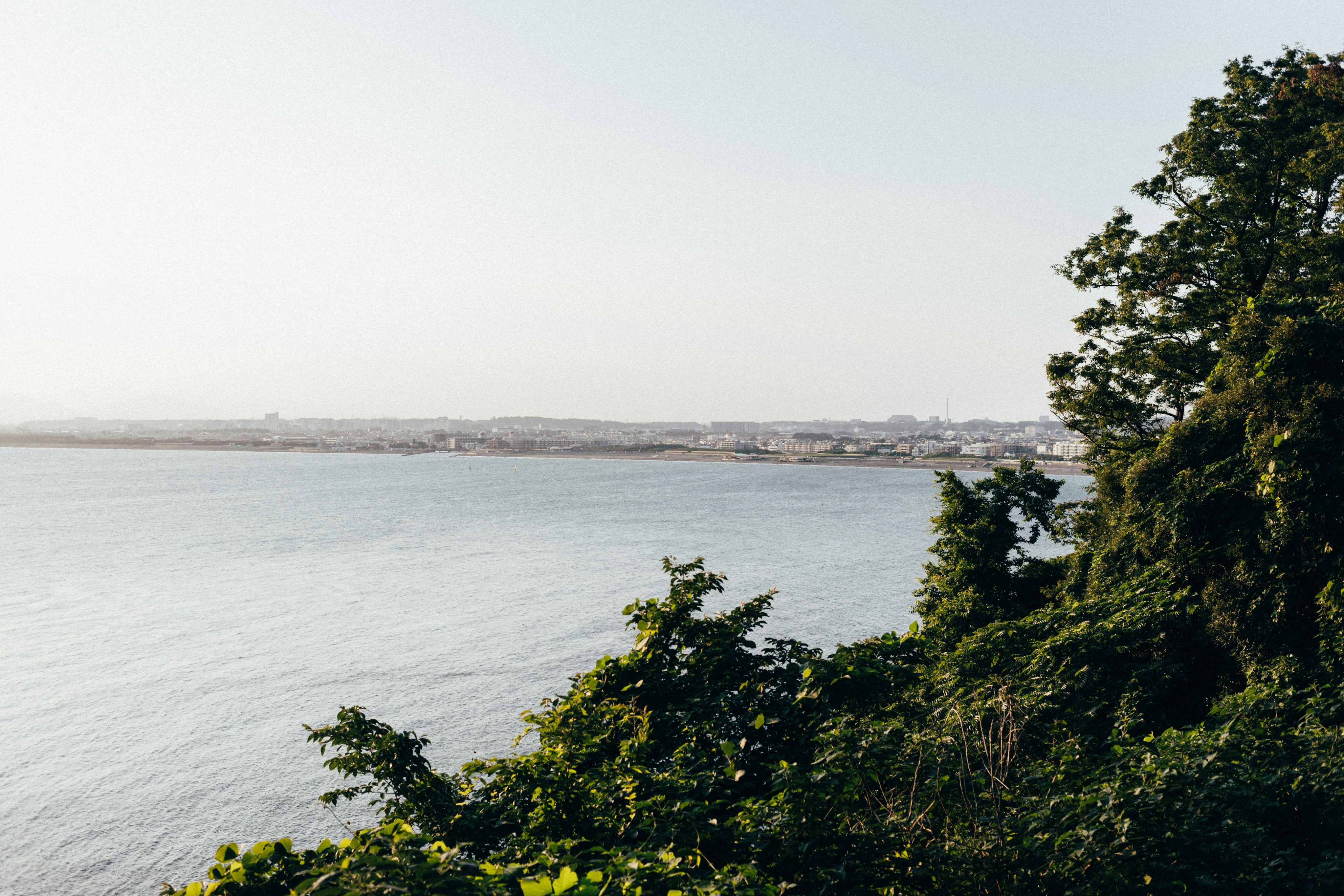 Photo by tsuyoshikozu