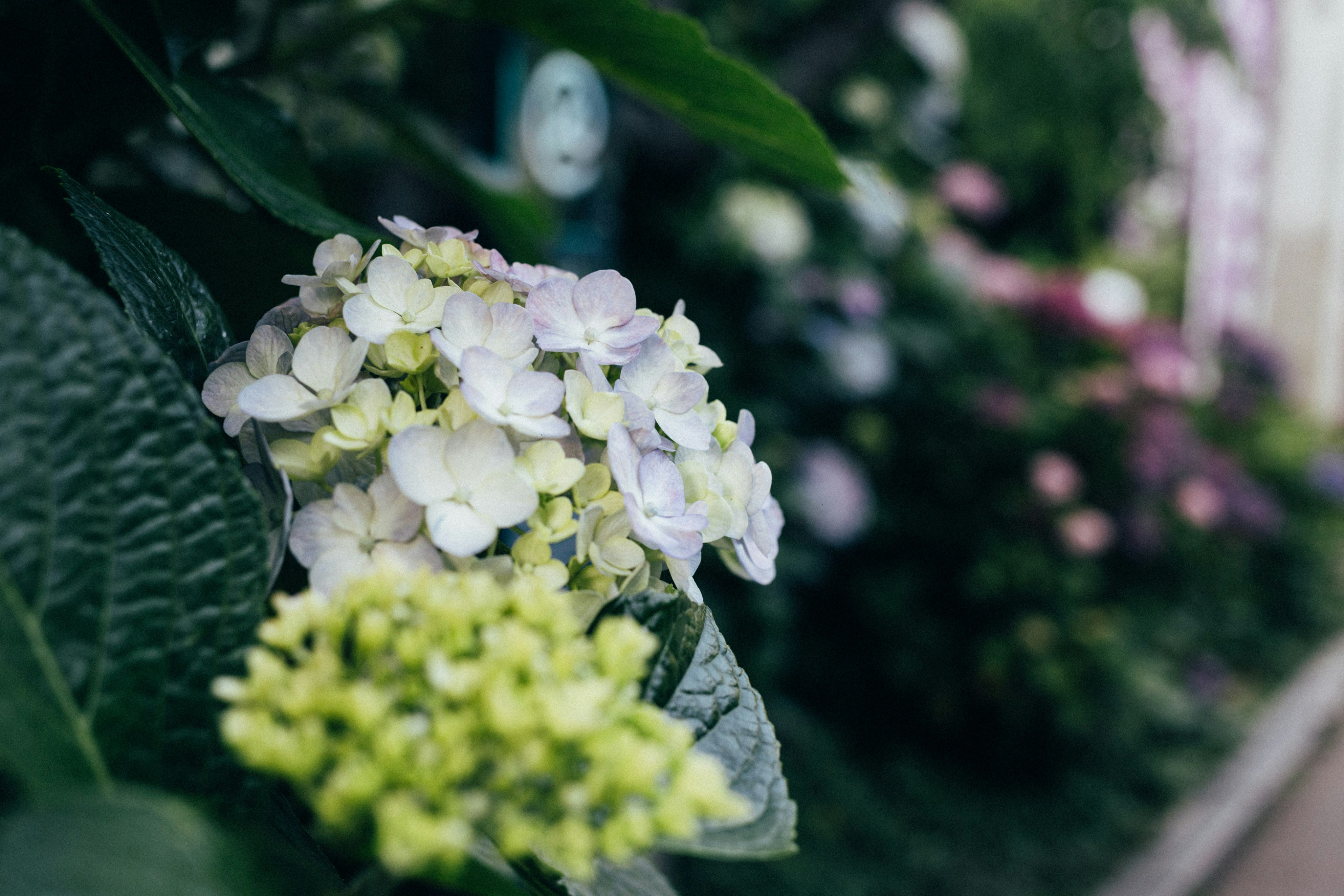 Photo by tsuyoshikozu