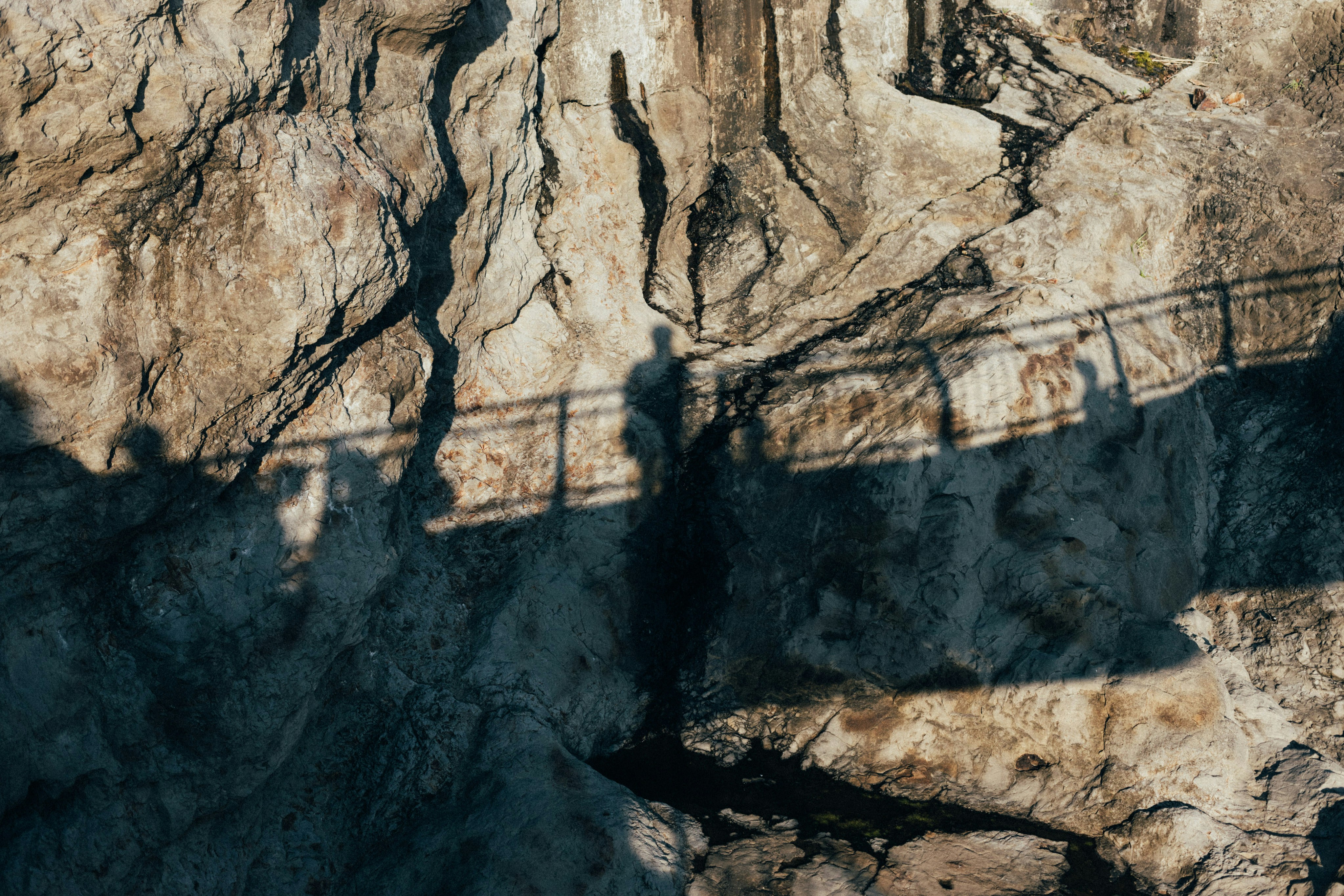 Photo by tsuyoshikozu