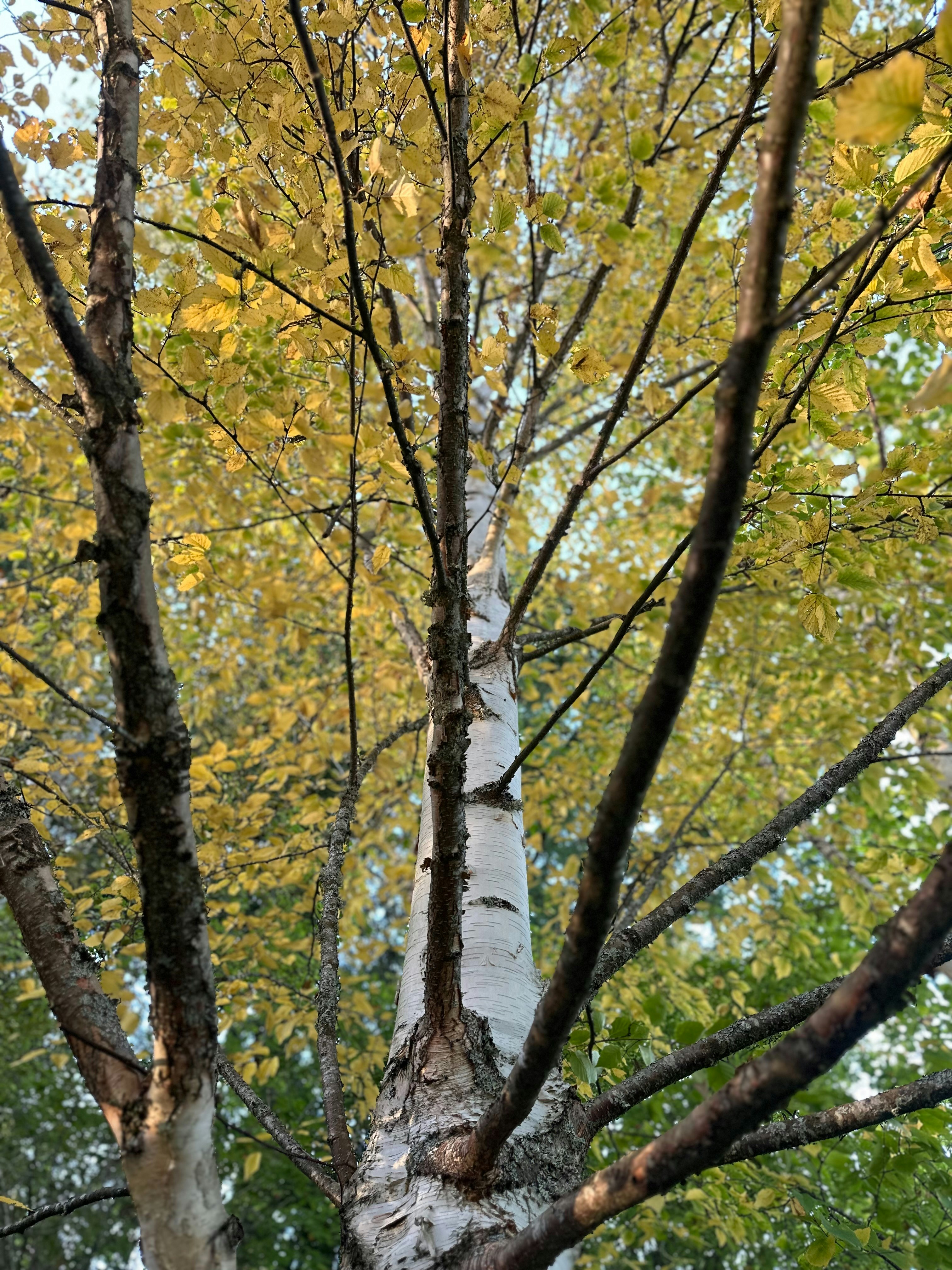 Photo by lette_alvarez