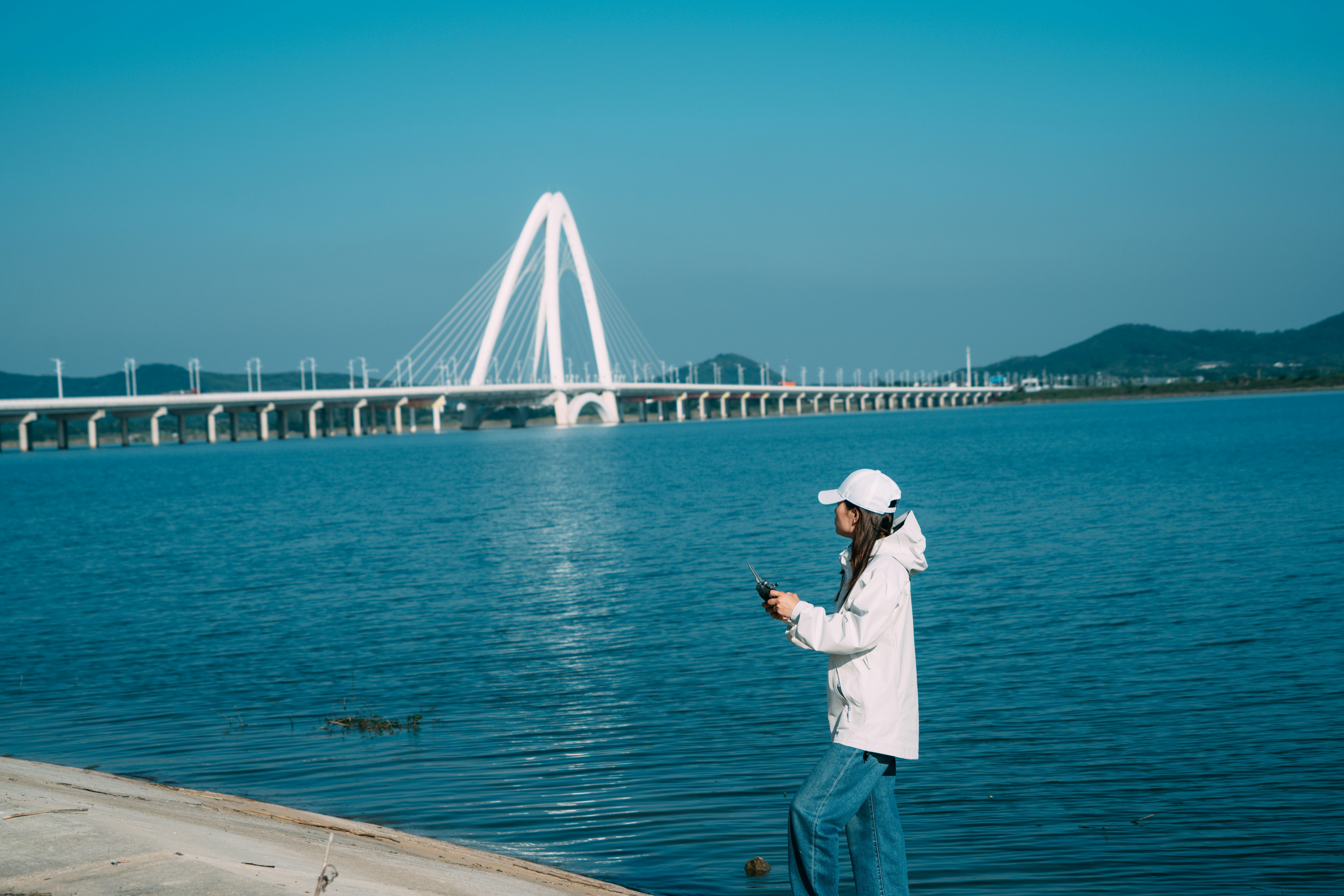 보험 서류 확인
