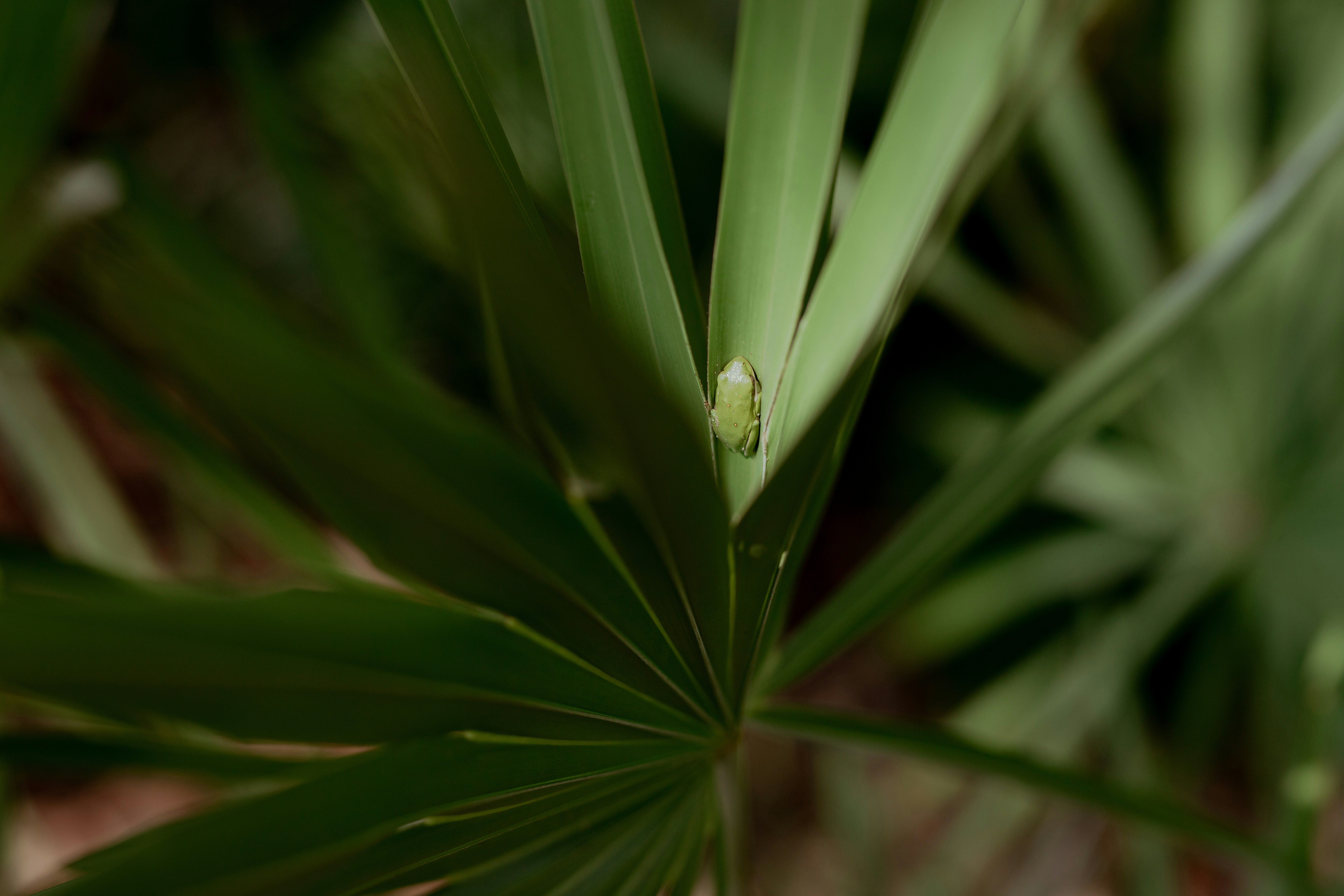 Photo by hvcoleman91