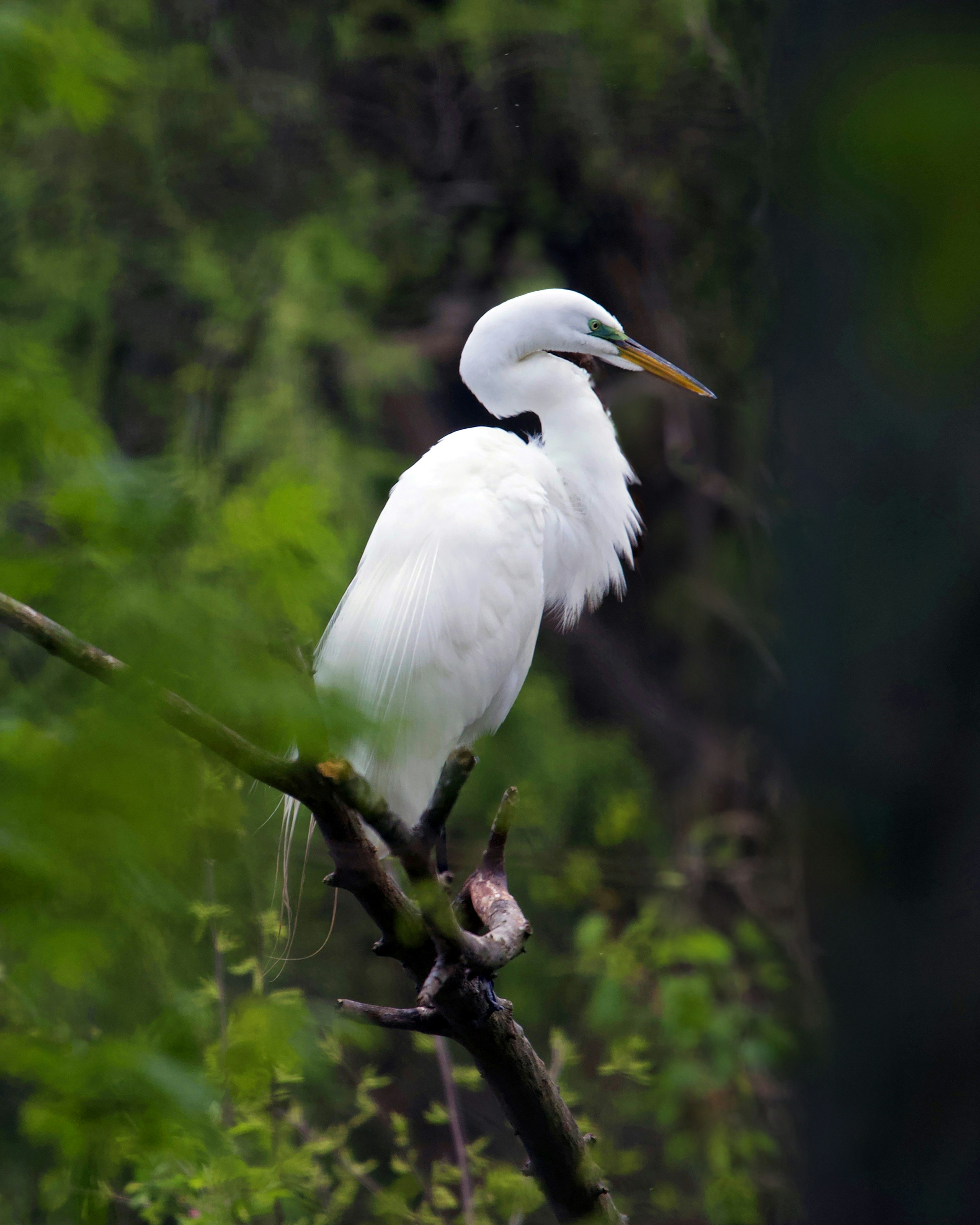 Photo by paulaannmurphy