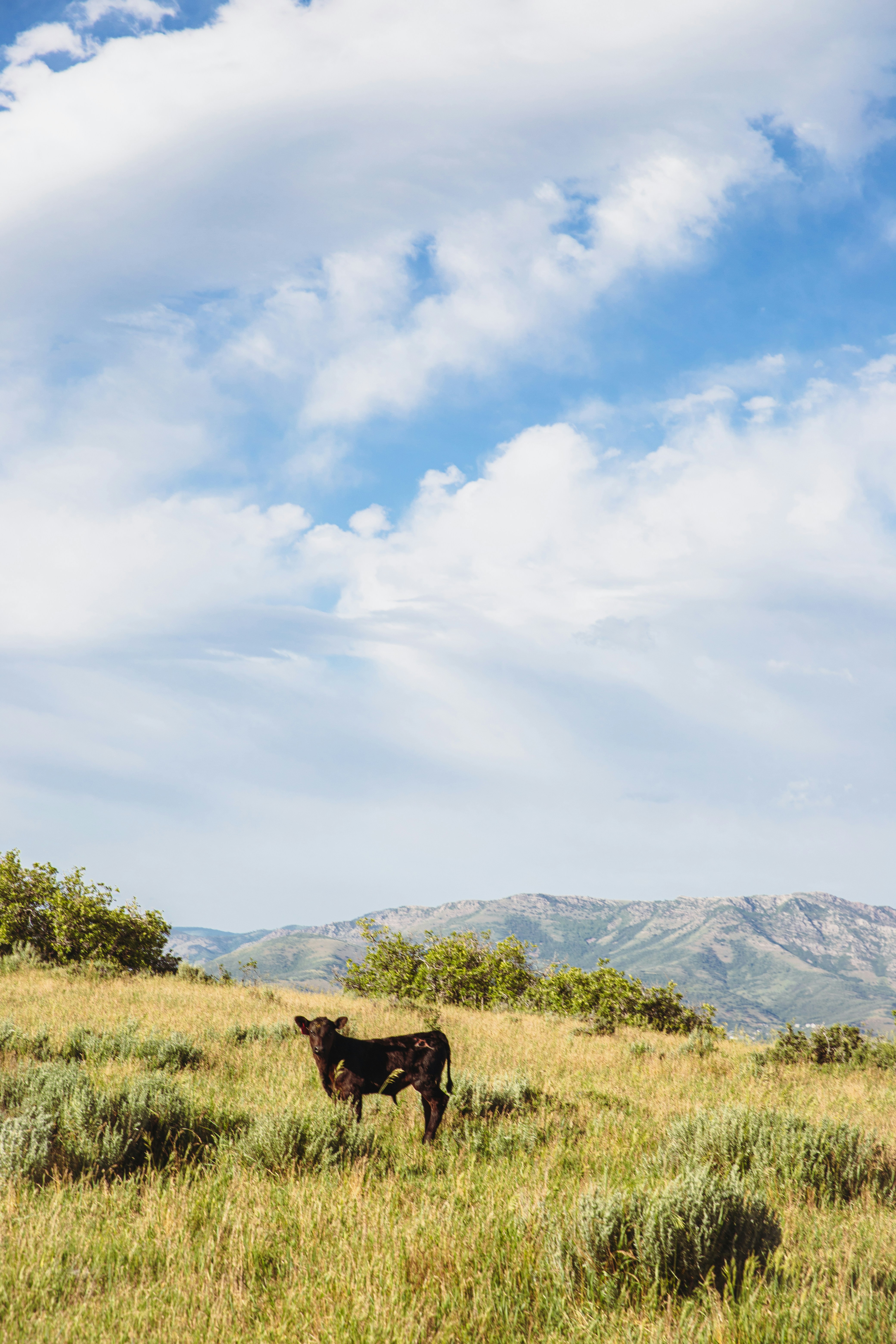 Photo by hvcoleman91