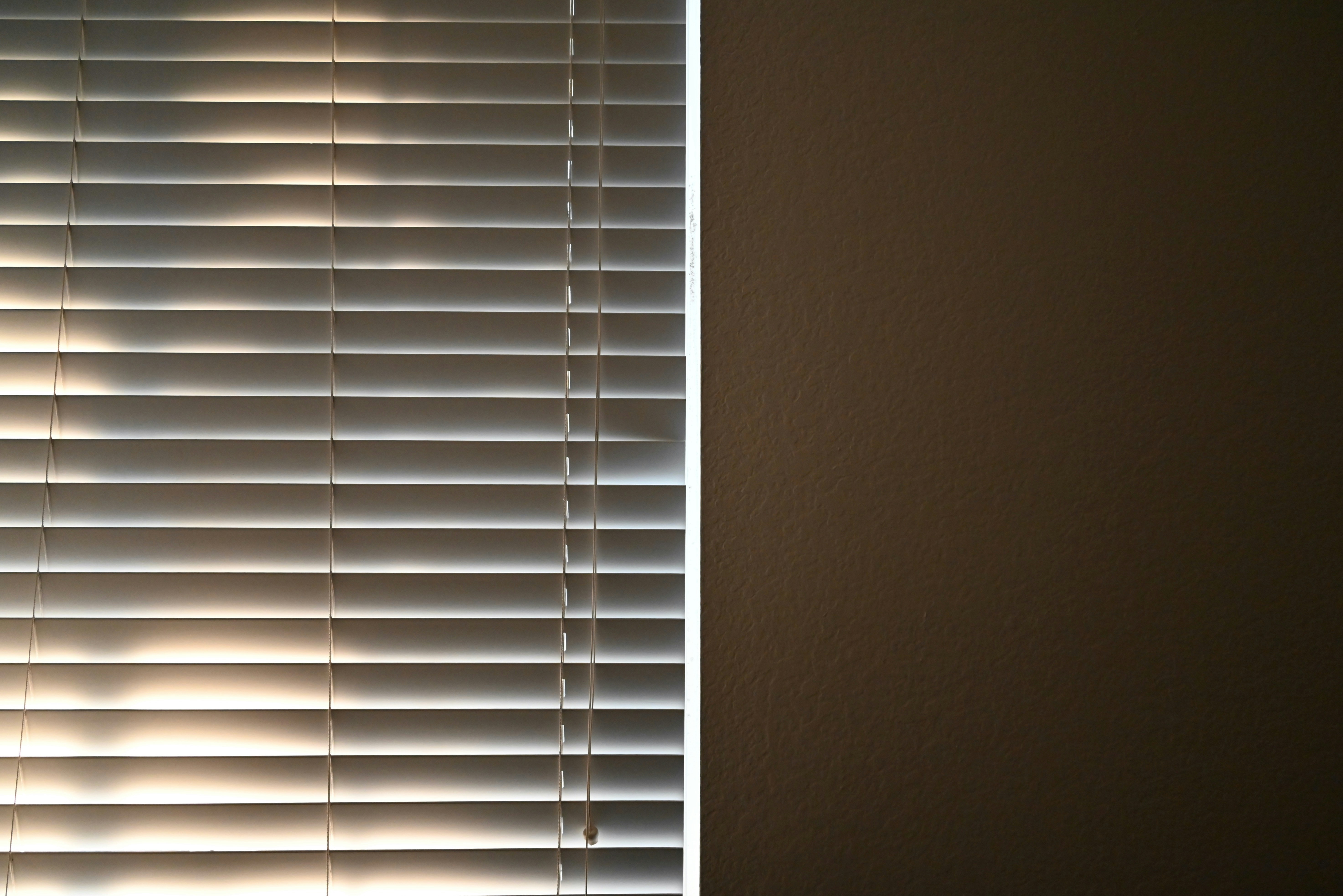 Photo by saadahmad_umn