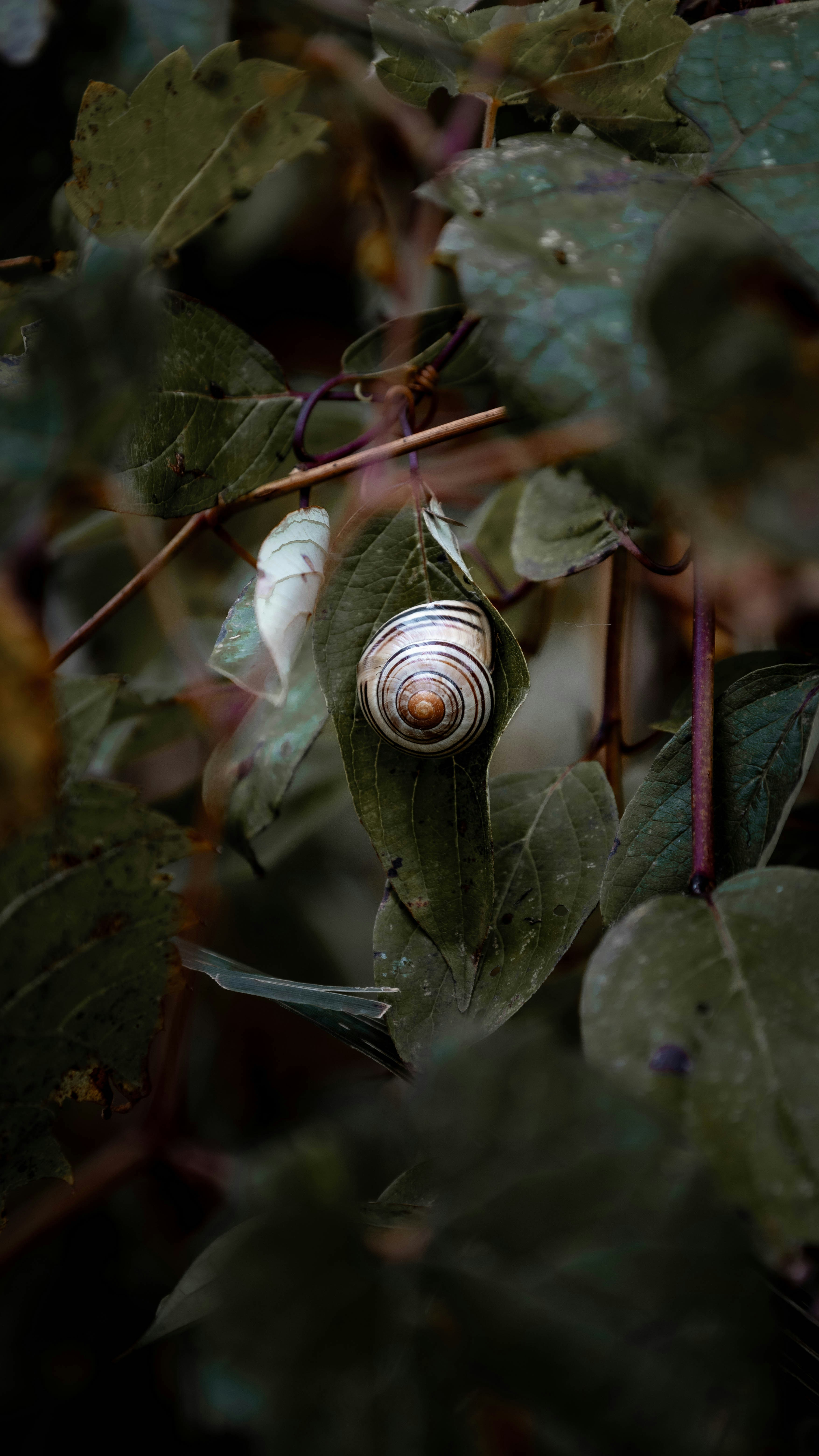 Photo by itscarlosmartinex