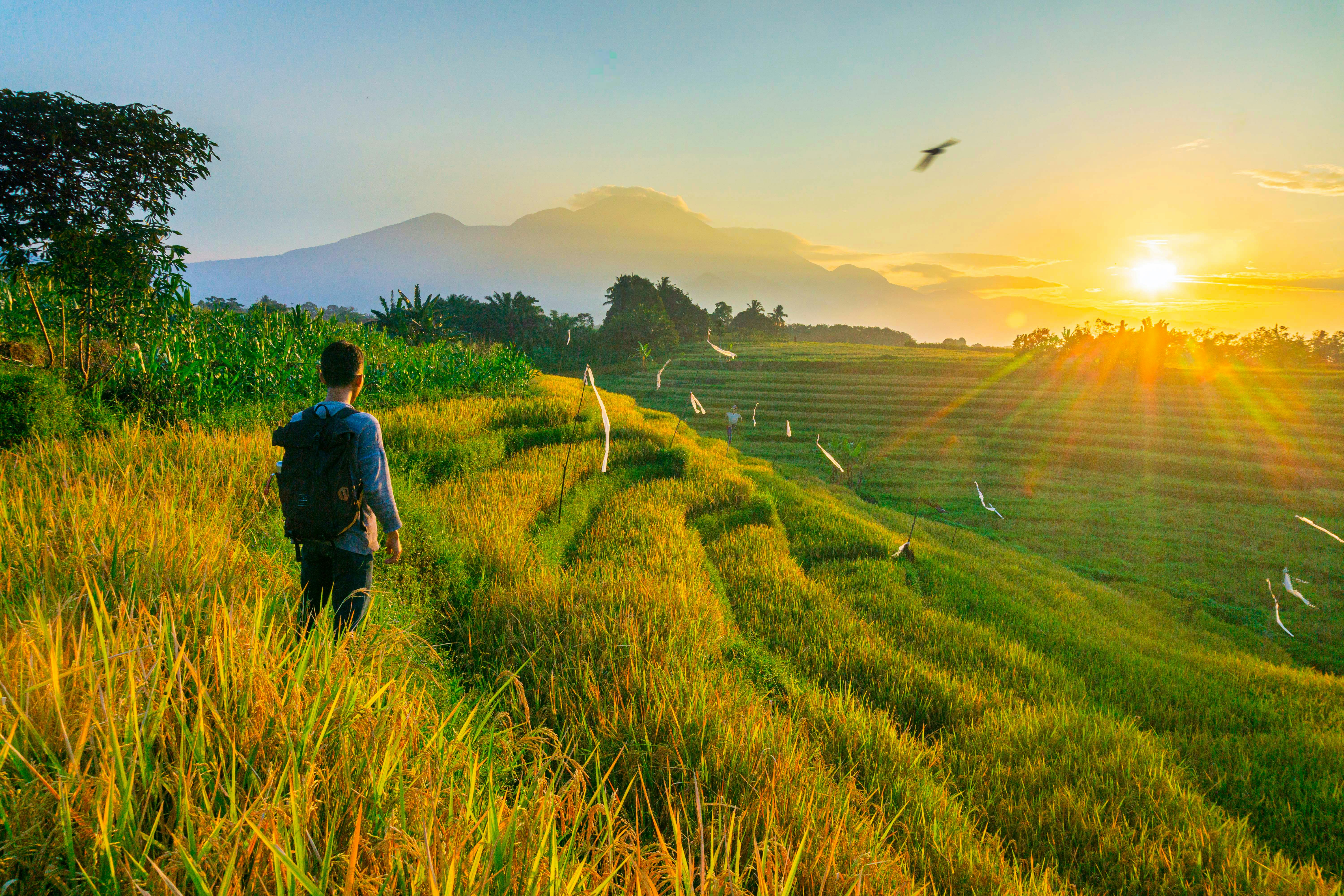 Photo by rahmadhimawan