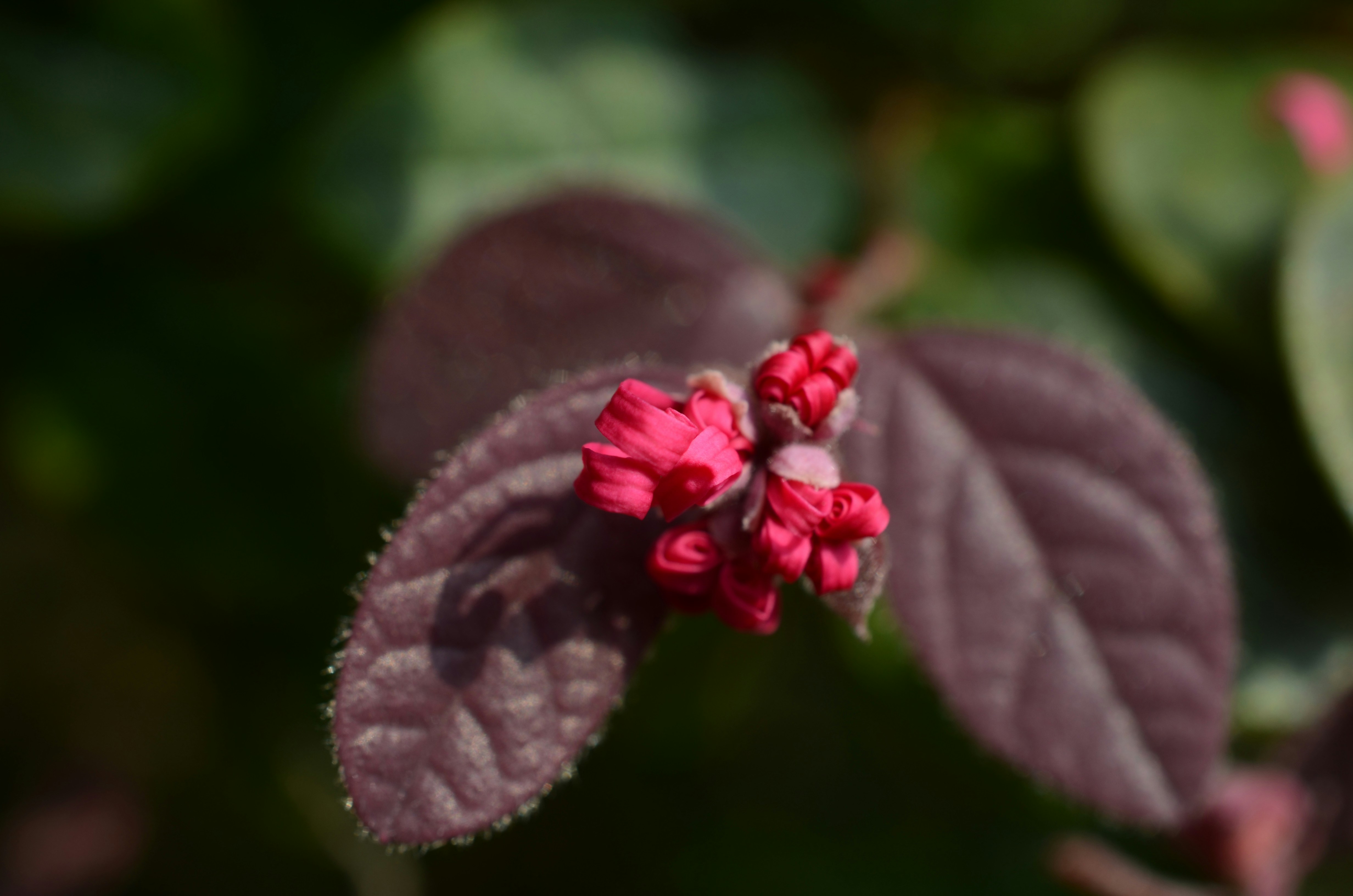 Photo by hanzhengrui