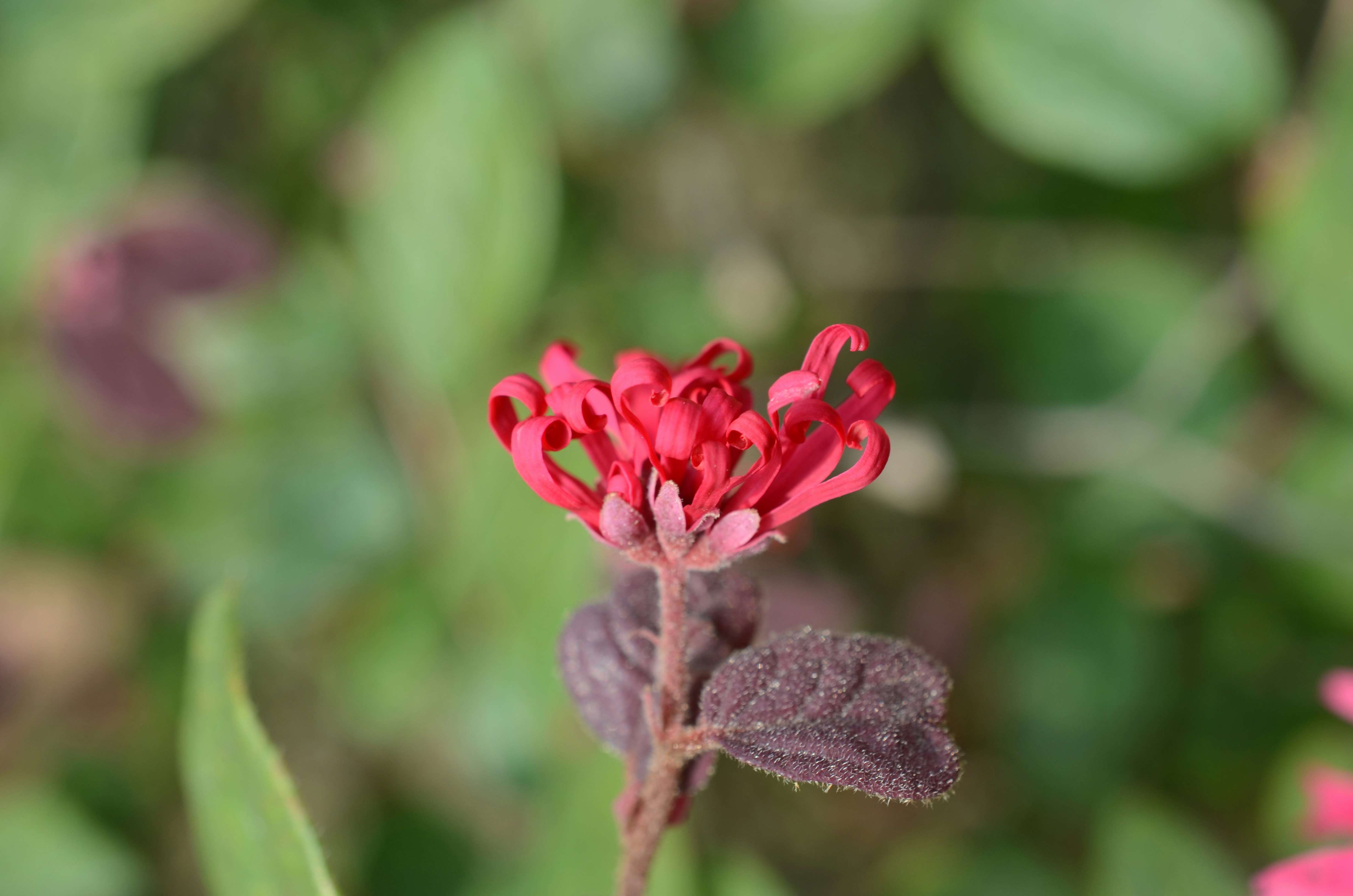 Photo by hanzhengrui