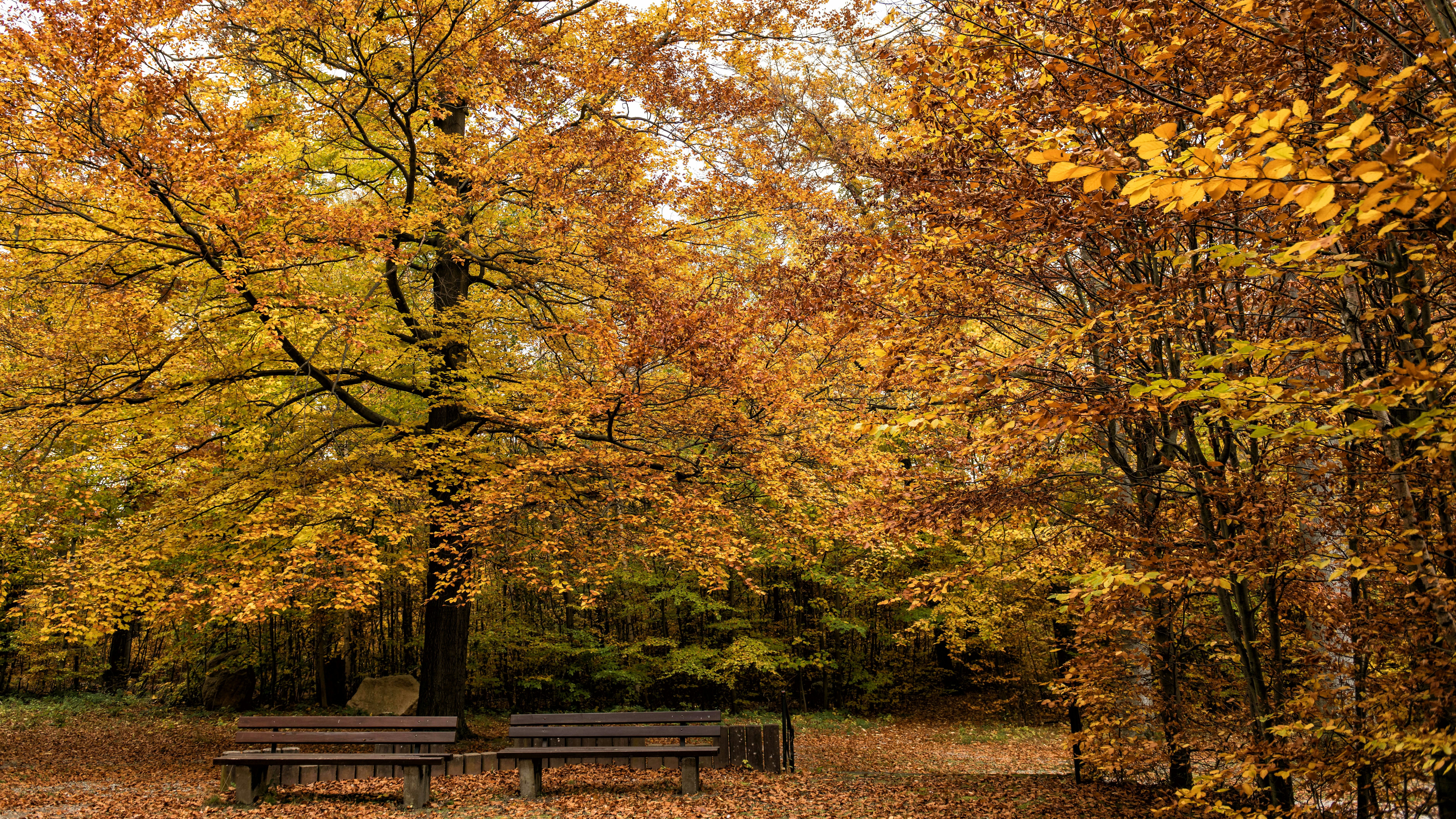 Photo by hamburgmeinefreundin