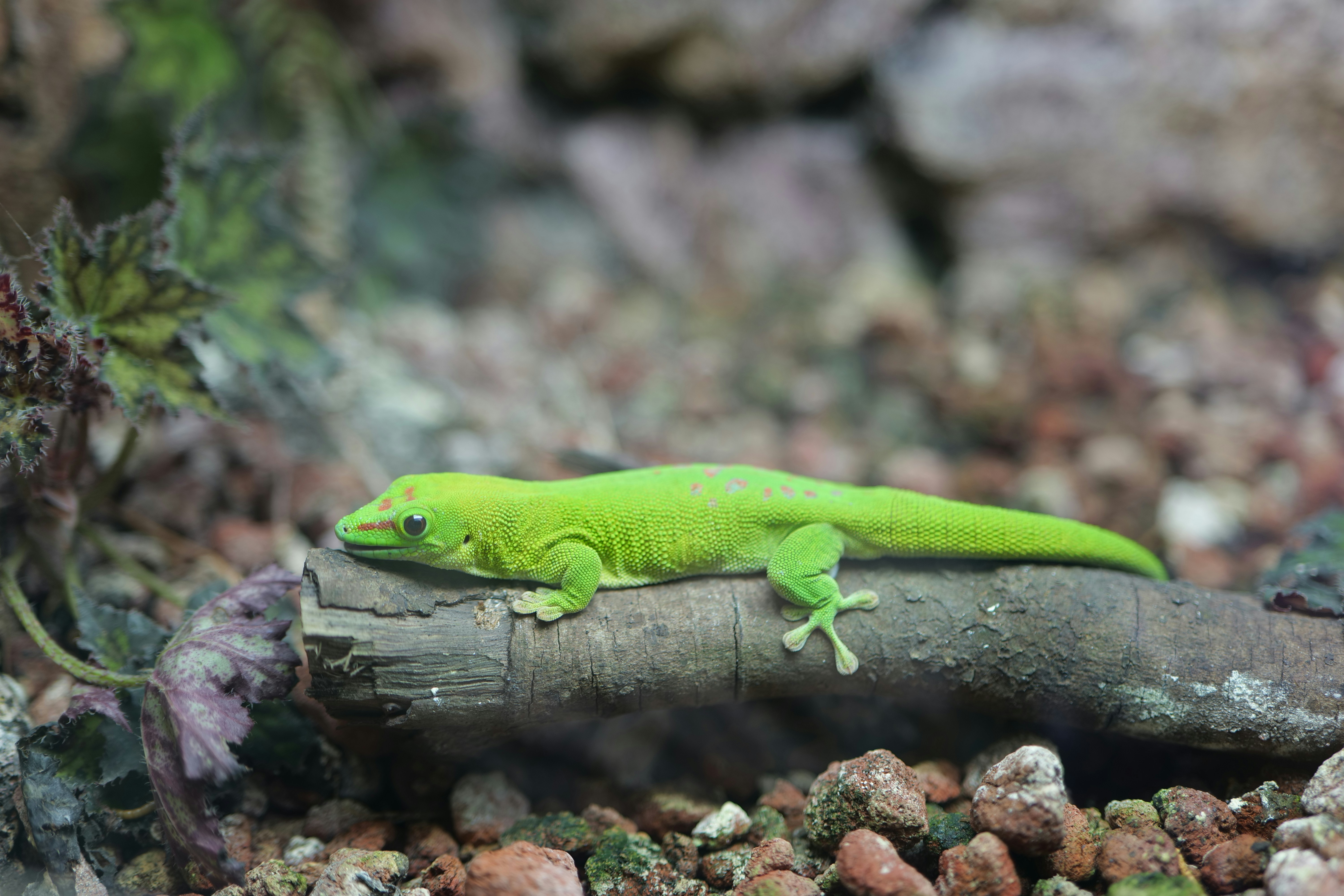 Photo by moyathebunny