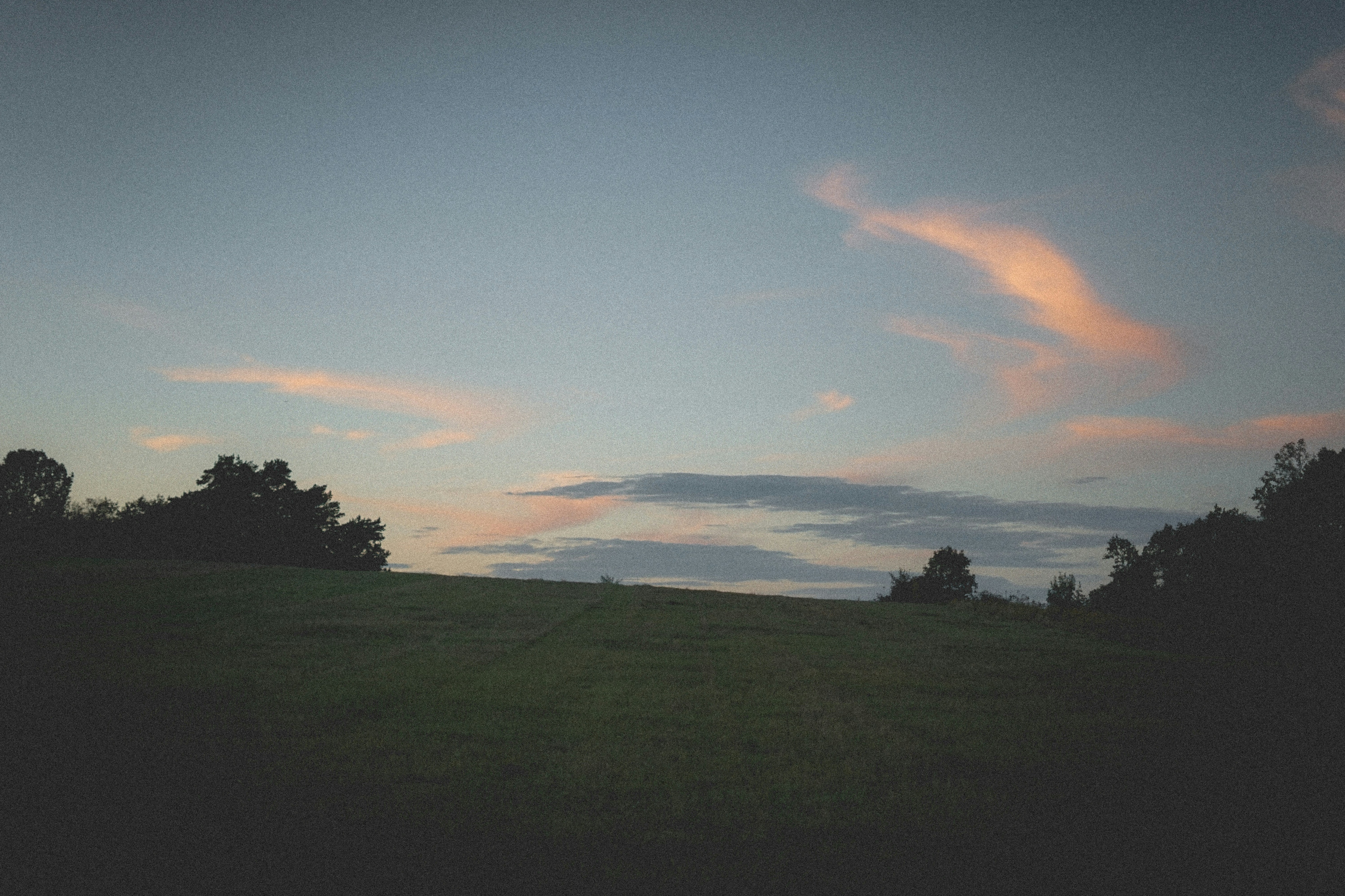 Ein grasbewachsenes Feld mit Bäumen und Wolken im Hintergrund