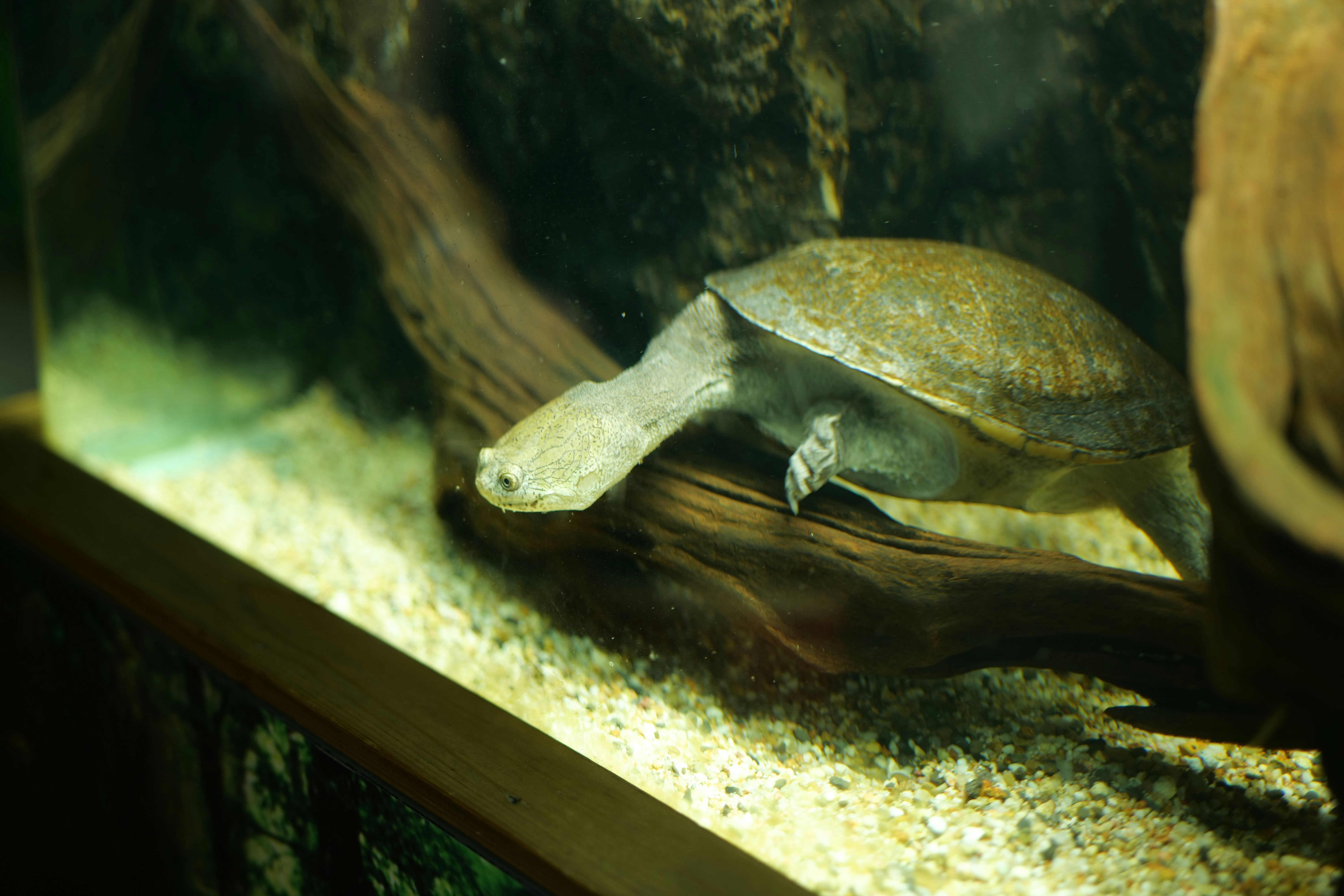 Photo by moyathebunny