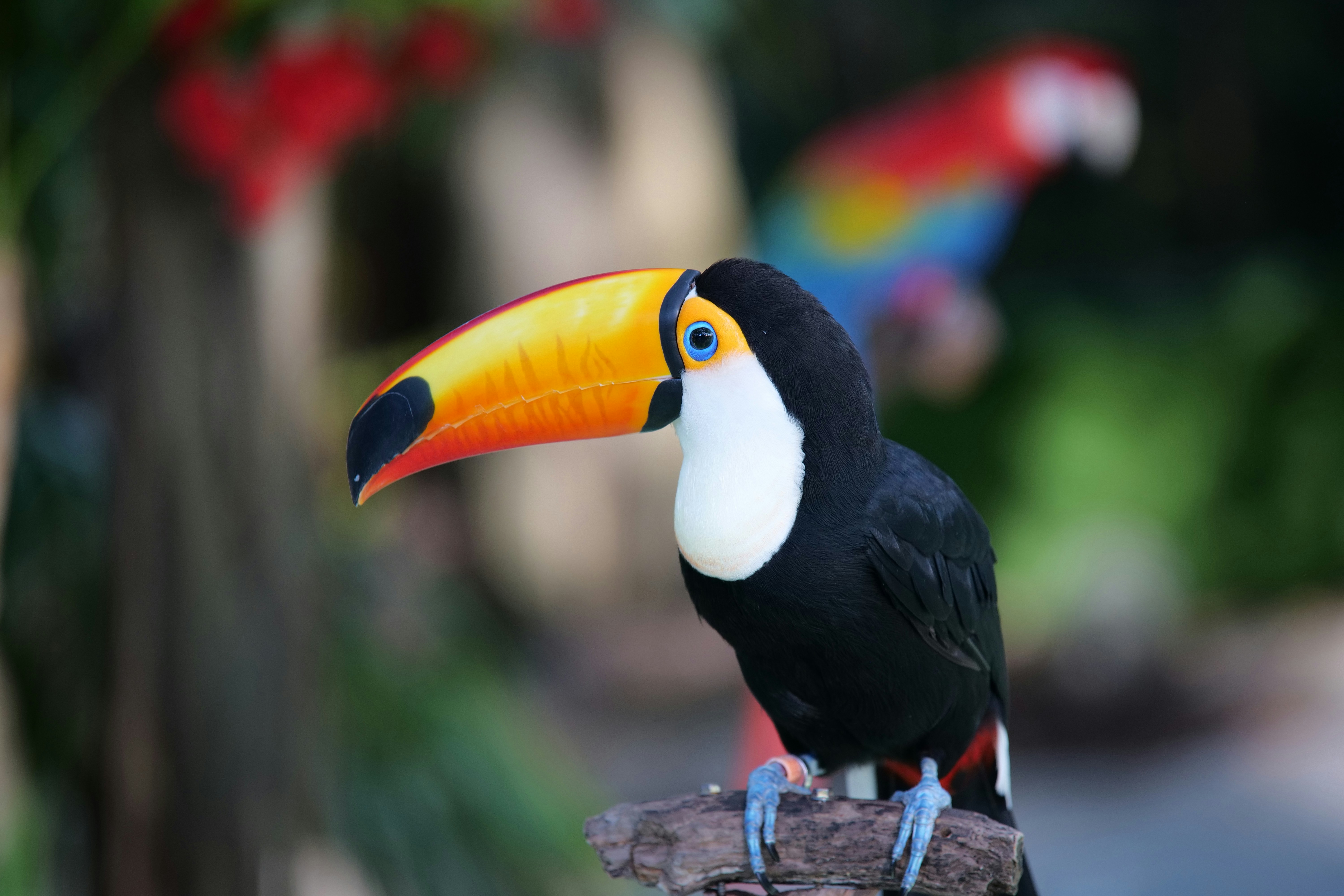 Photo by moyathebunny