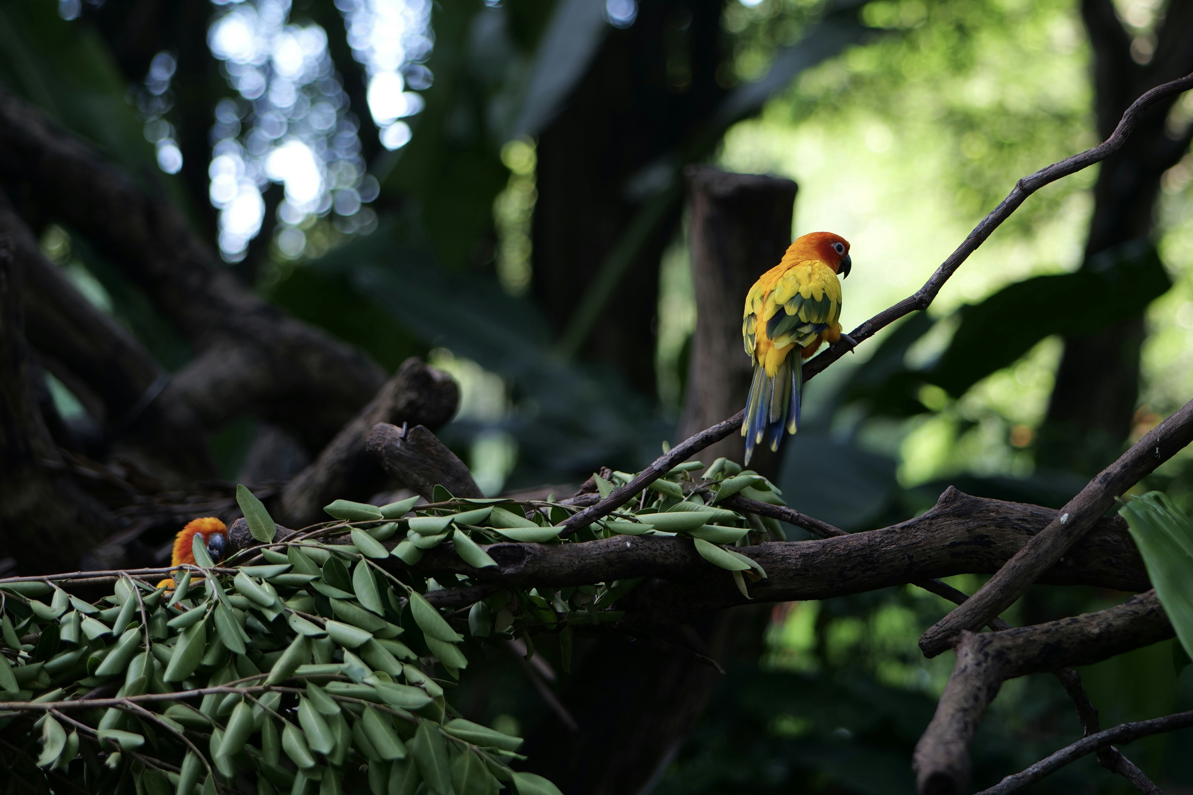 Photo by moyathebunny