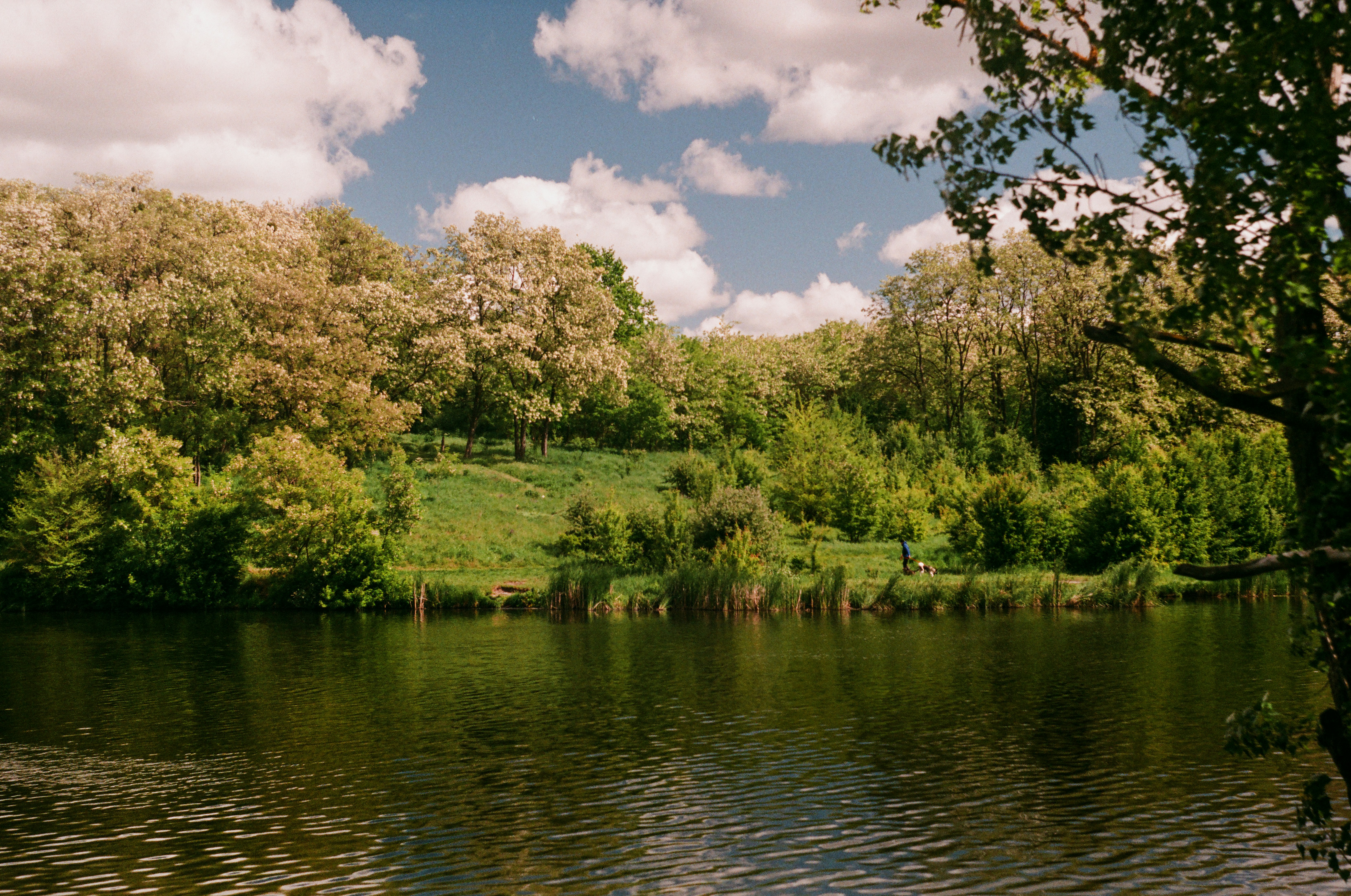 Photo by margarita_ua