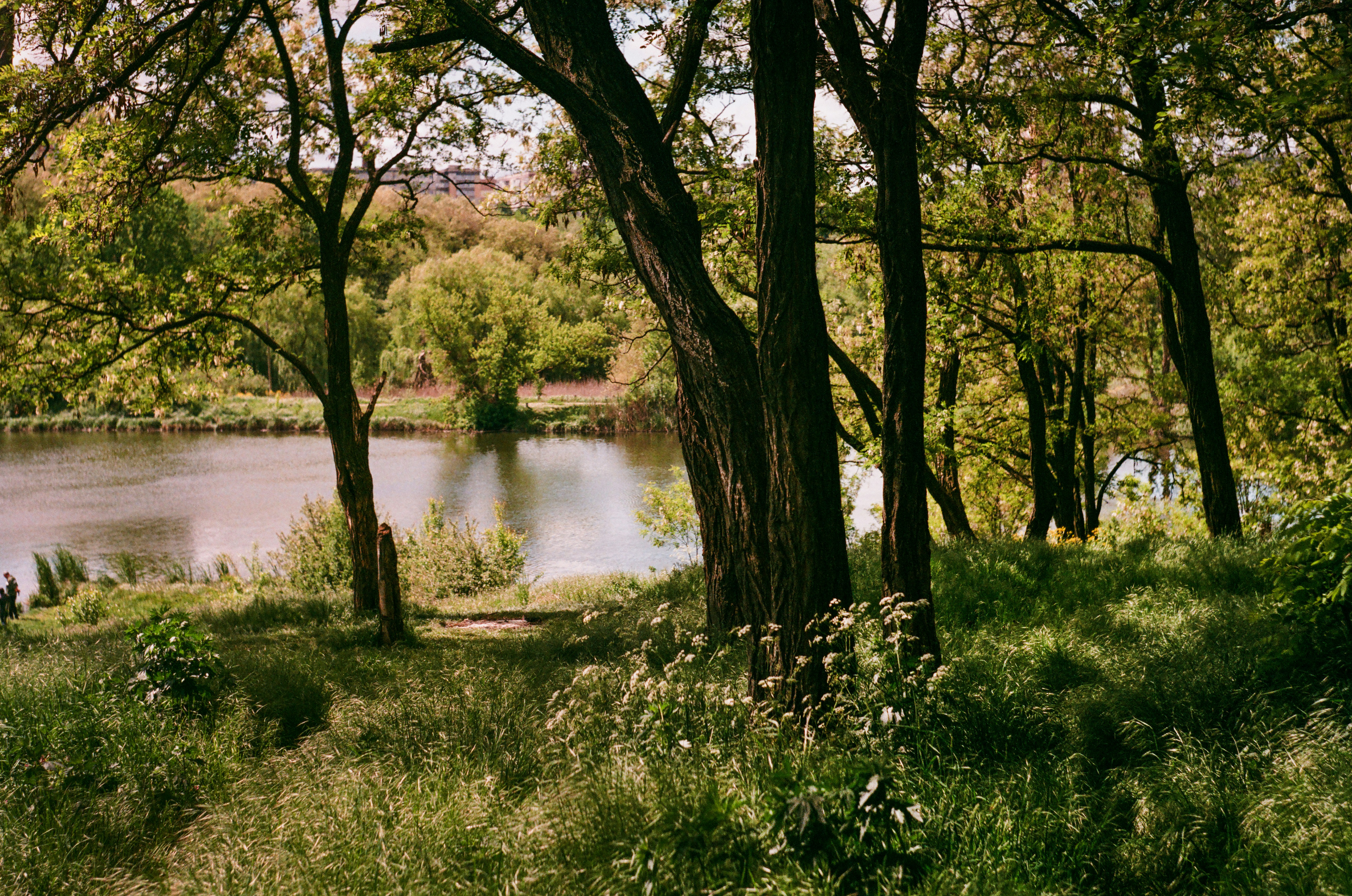 Photo by margarita_ua