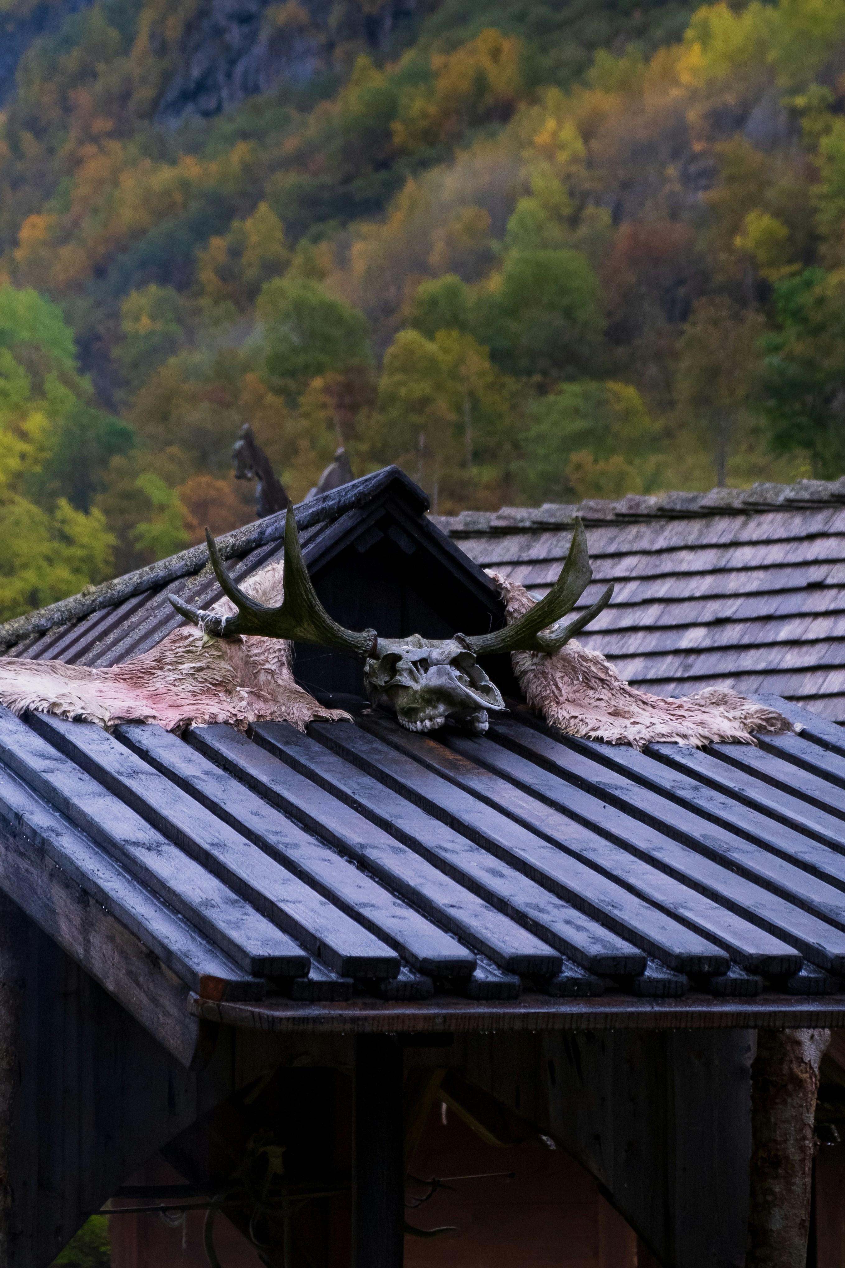 Repairing black metal roof