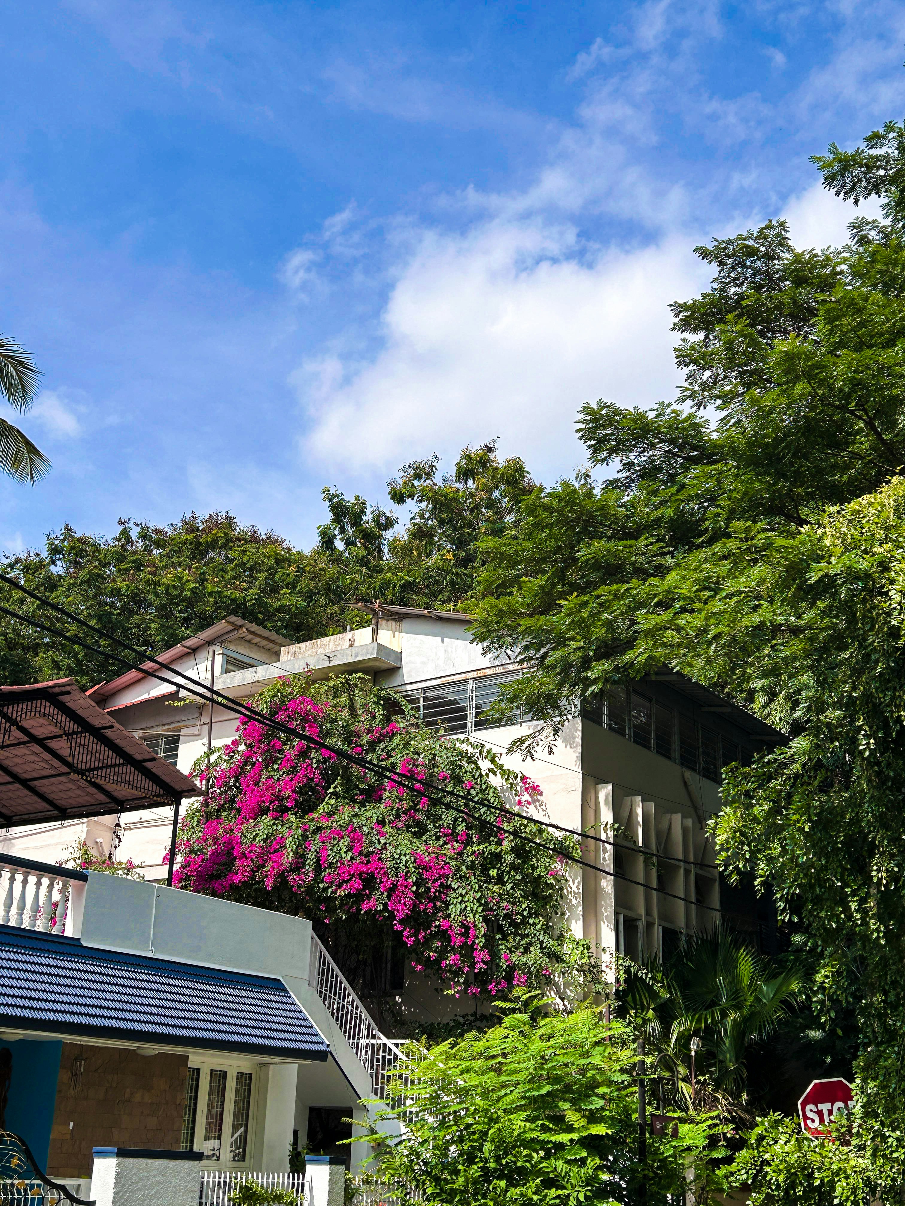 Photo by shaikhshahid21