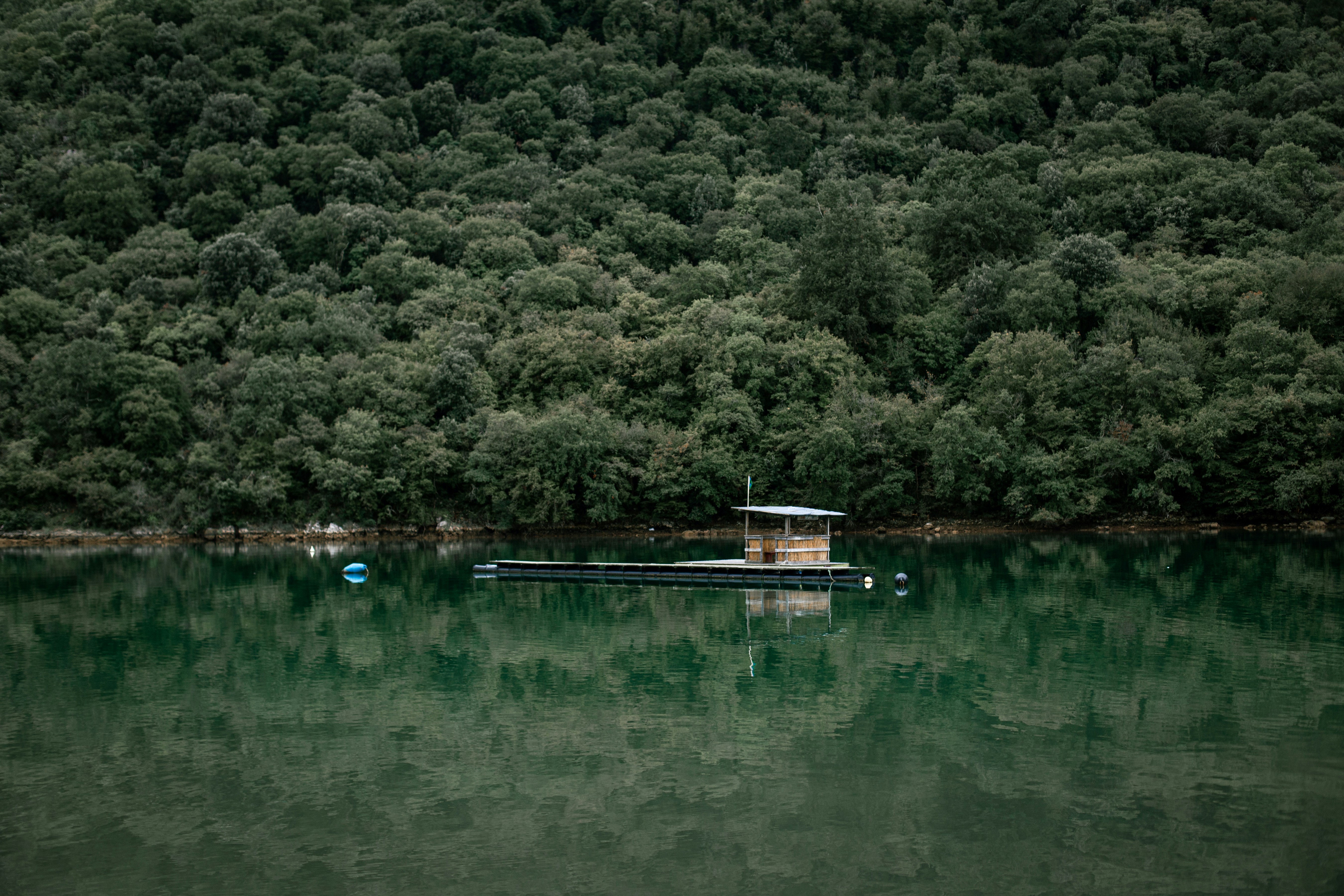 A body of water surrounded by a forest