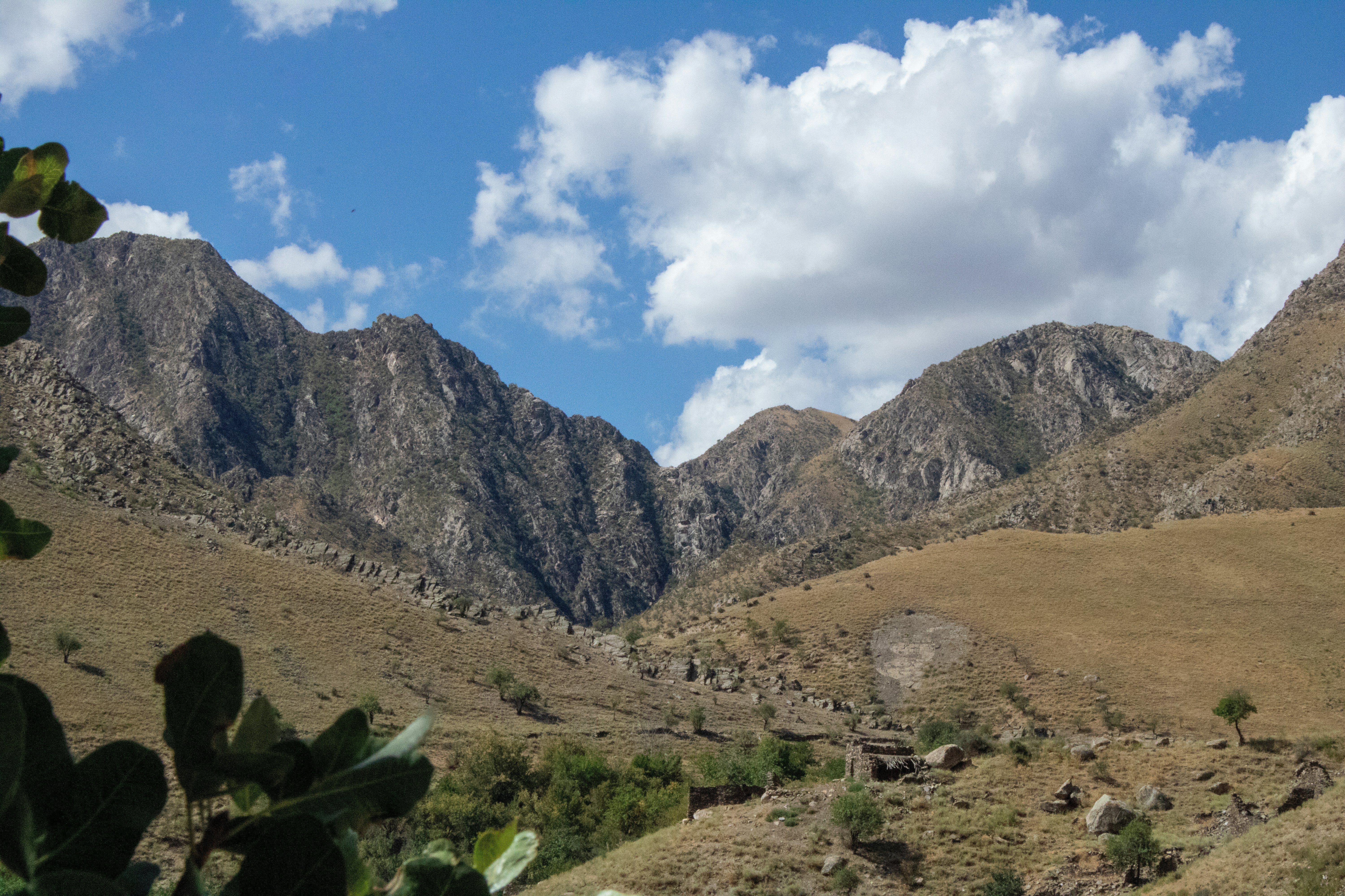 Photo by diegomattevi