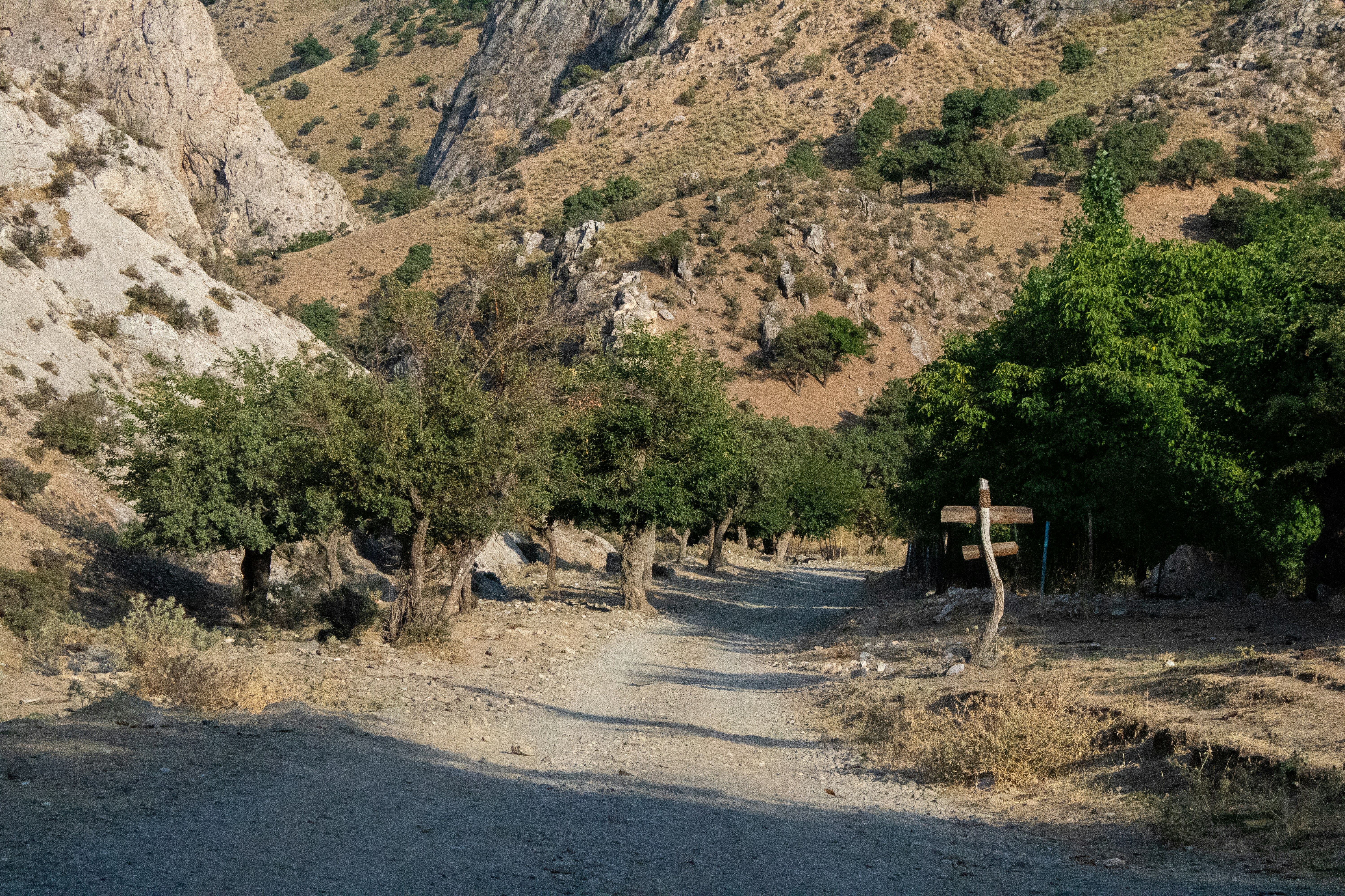 A dirt road surrounded by mountains and trees